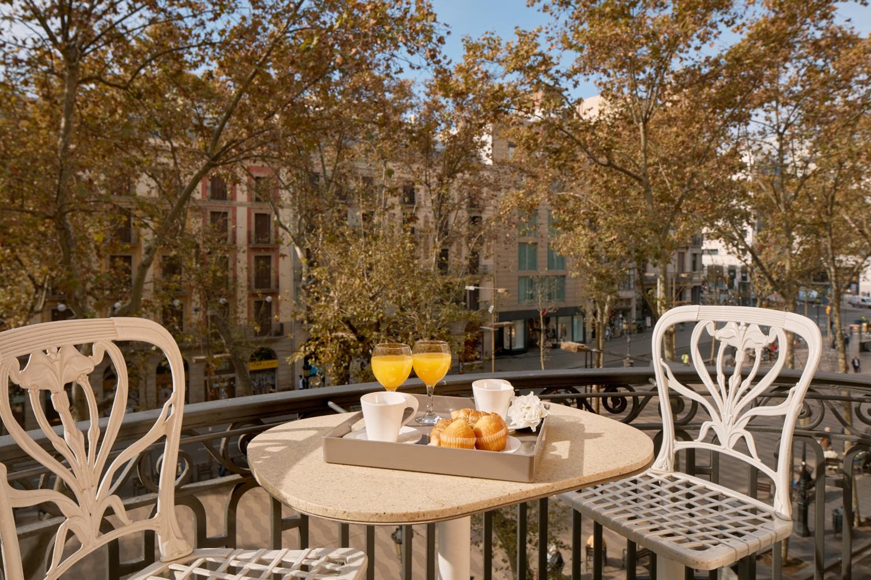 balance & terrace