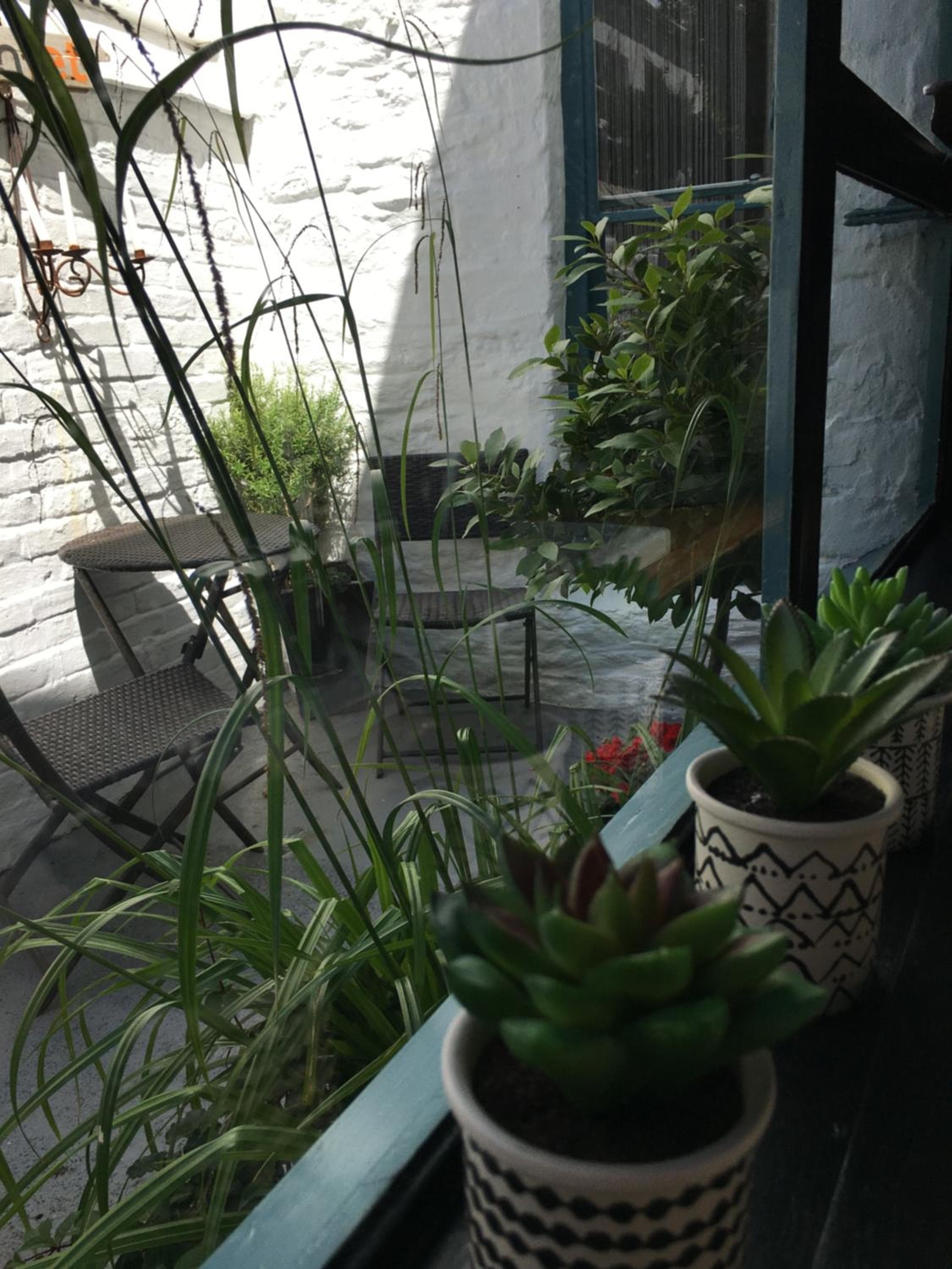 'the inlet' falmouth