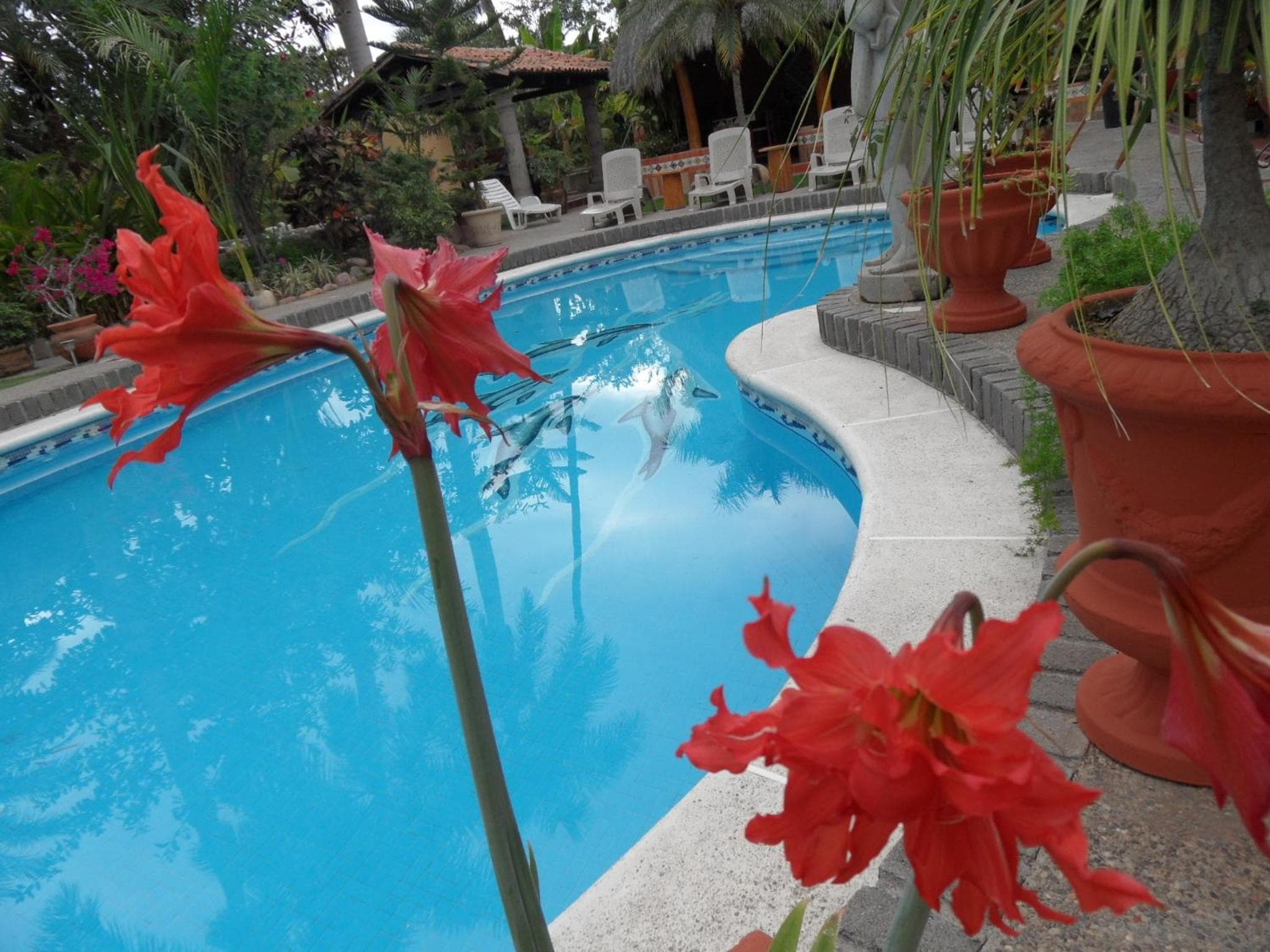 Casa Virgilio B&B