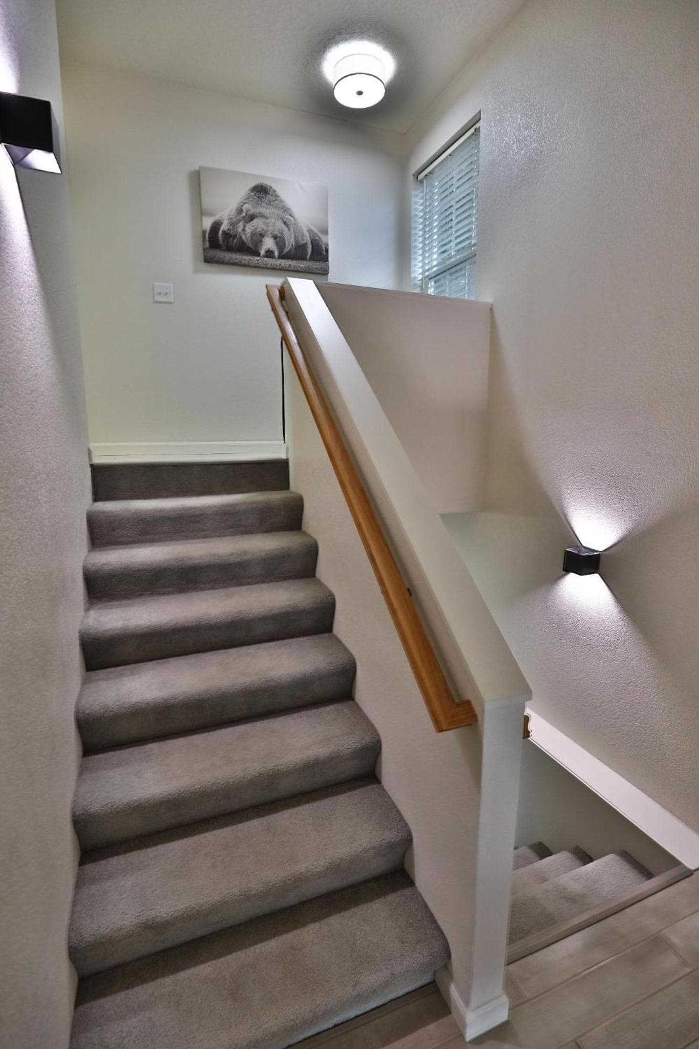 Peaceful Retreat in the Heart of Missoula