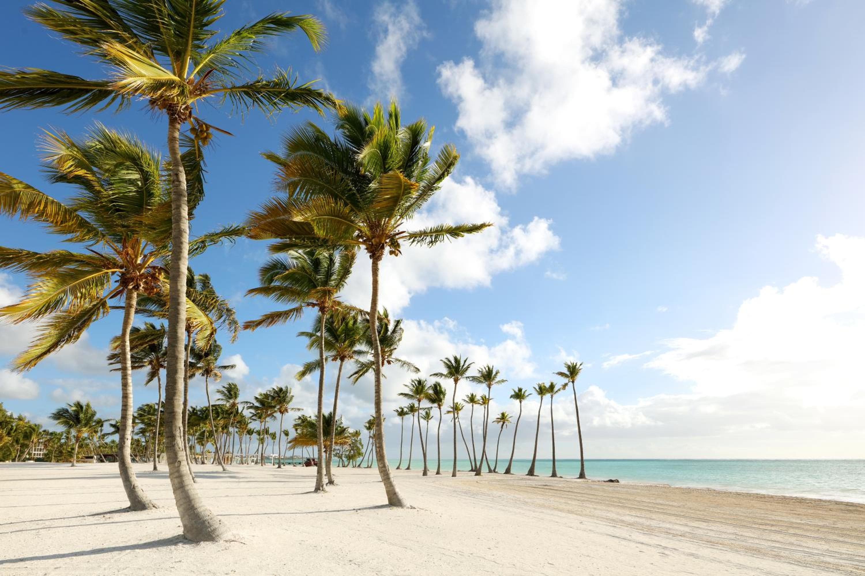 TRS Cap Cana Waterfront & Marina Hotel - Adults Only - All Inclusive