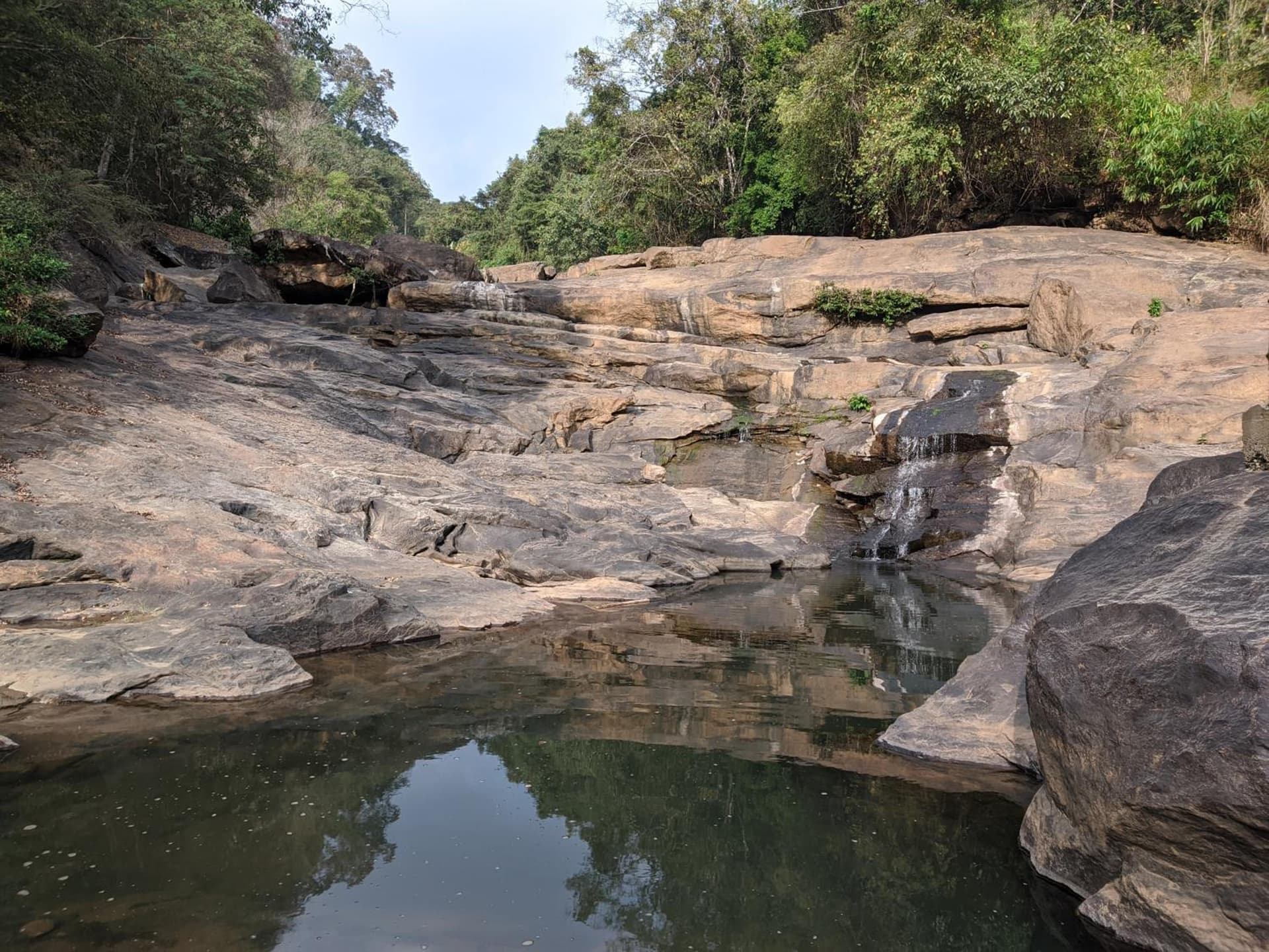 Riverbench Homestay Munnar, Anaviratty