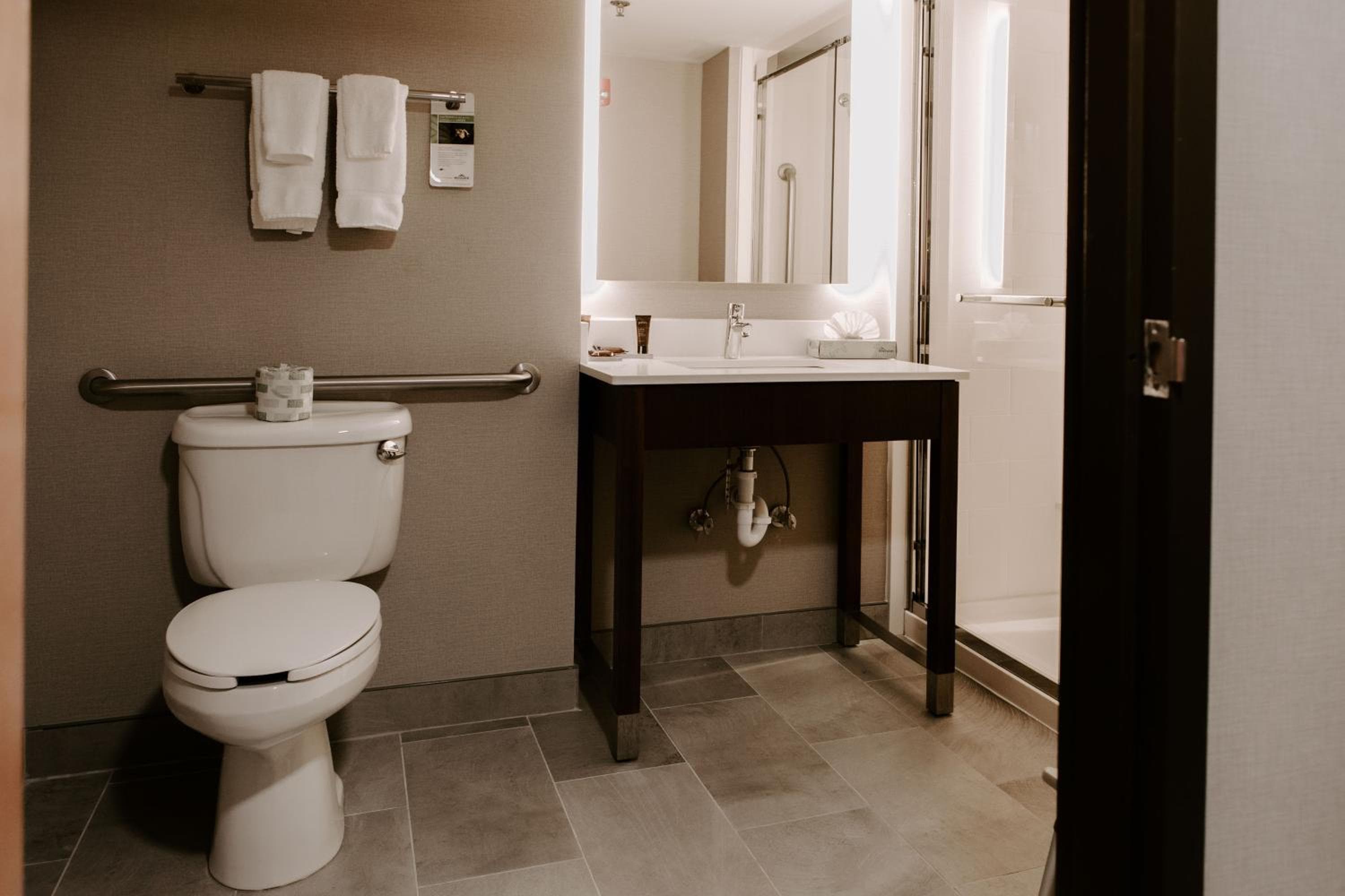 Wingate by Wyndham - Dulles International