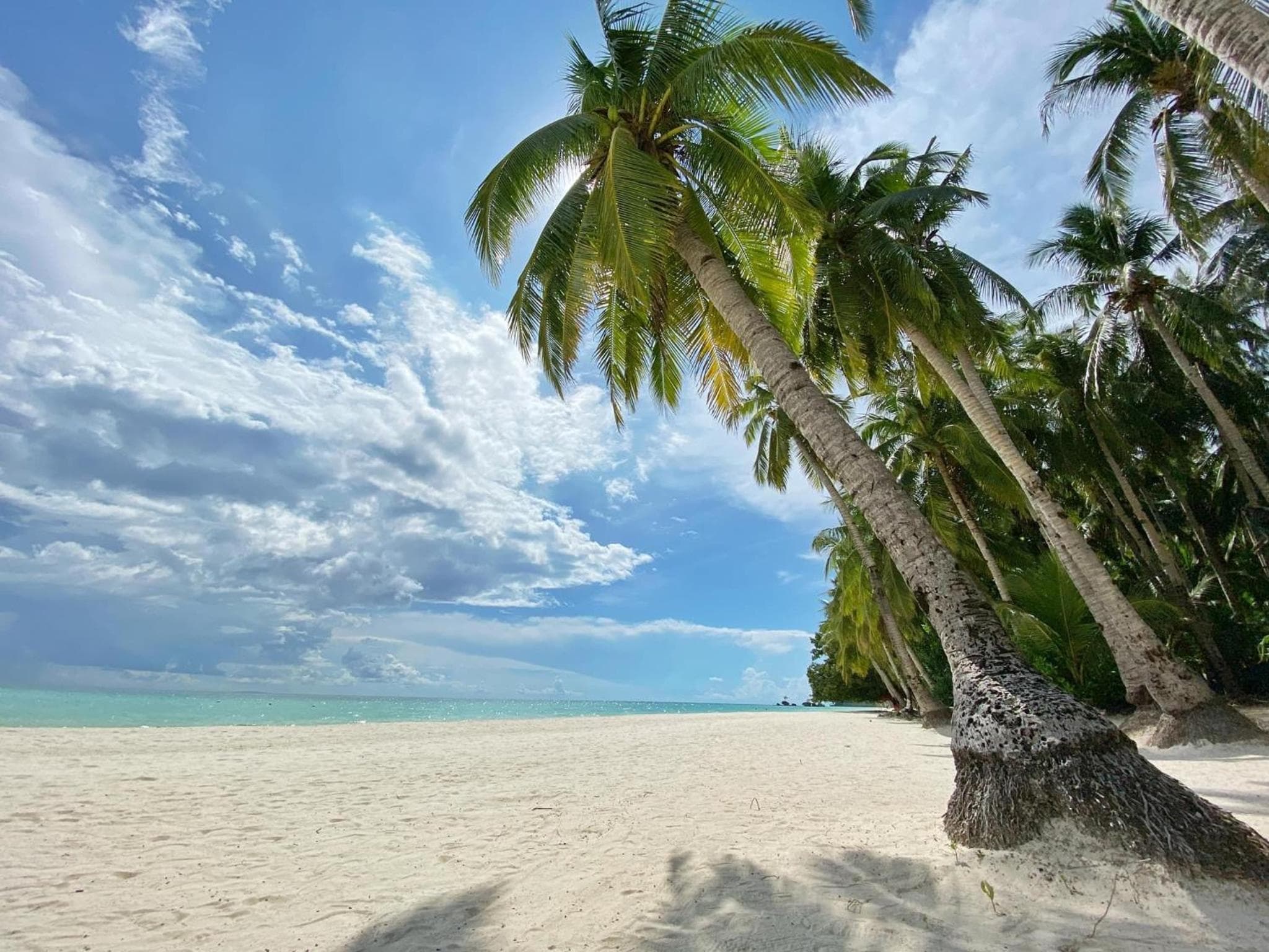 Jony's Beach Resort