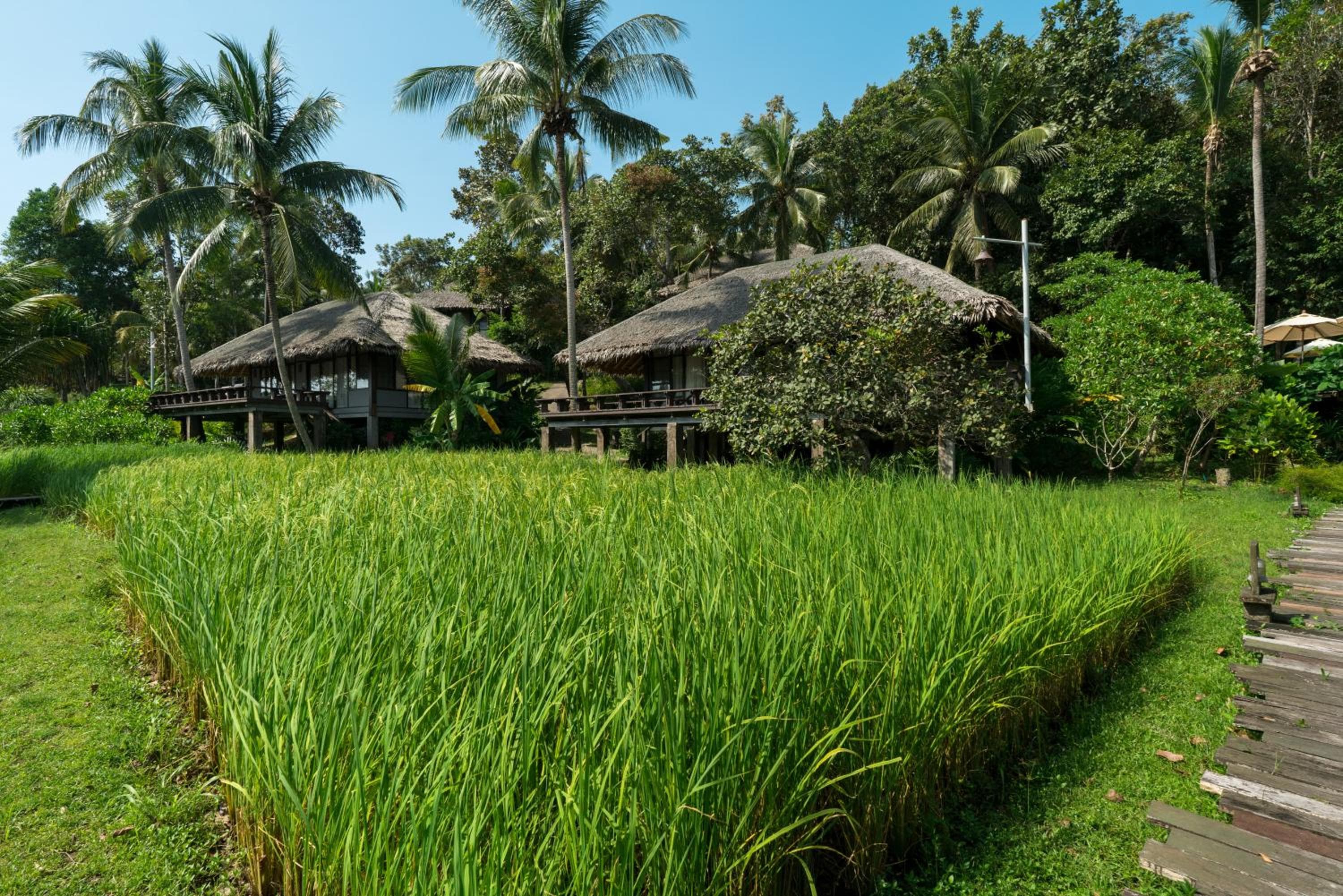 Koh Yao Yai Village