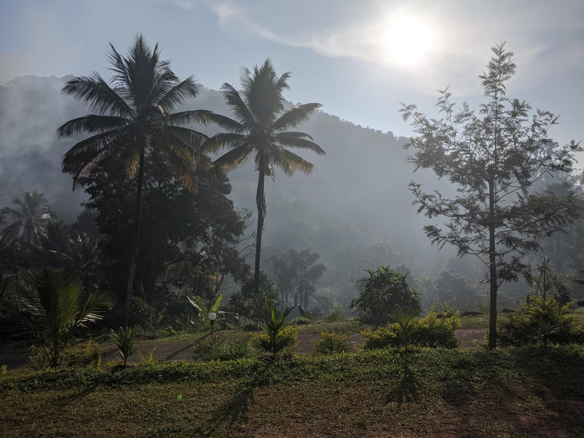 Riverbench Homestay Munnar, Anaviratty