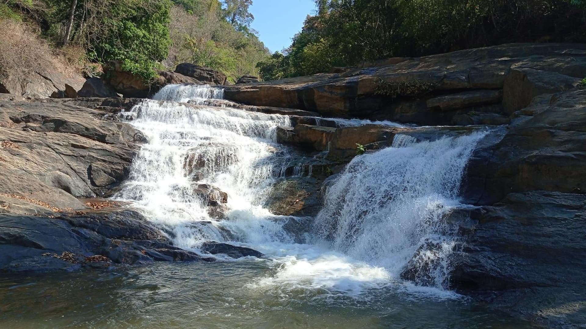 Riverbench Homestay Munnar, Anaviratty