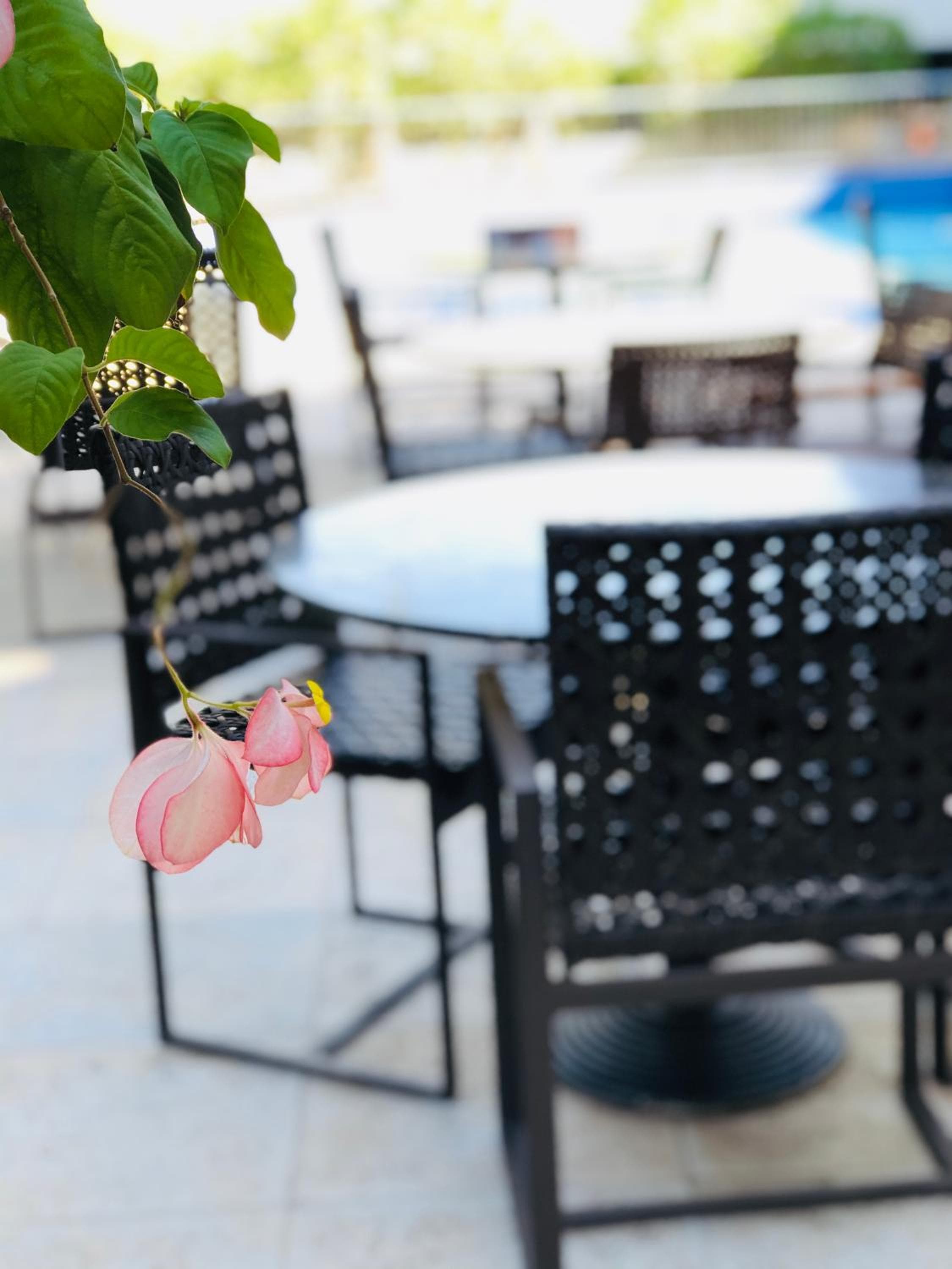 Viale Cataratas Hotel & Eventos