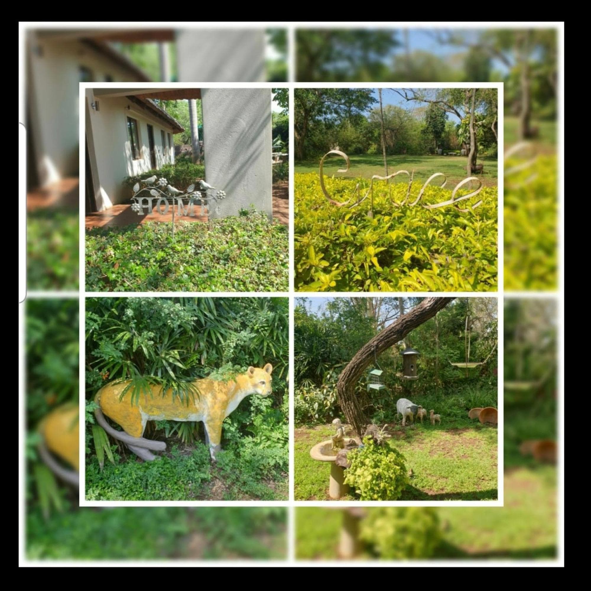 Kruger Allo B&B