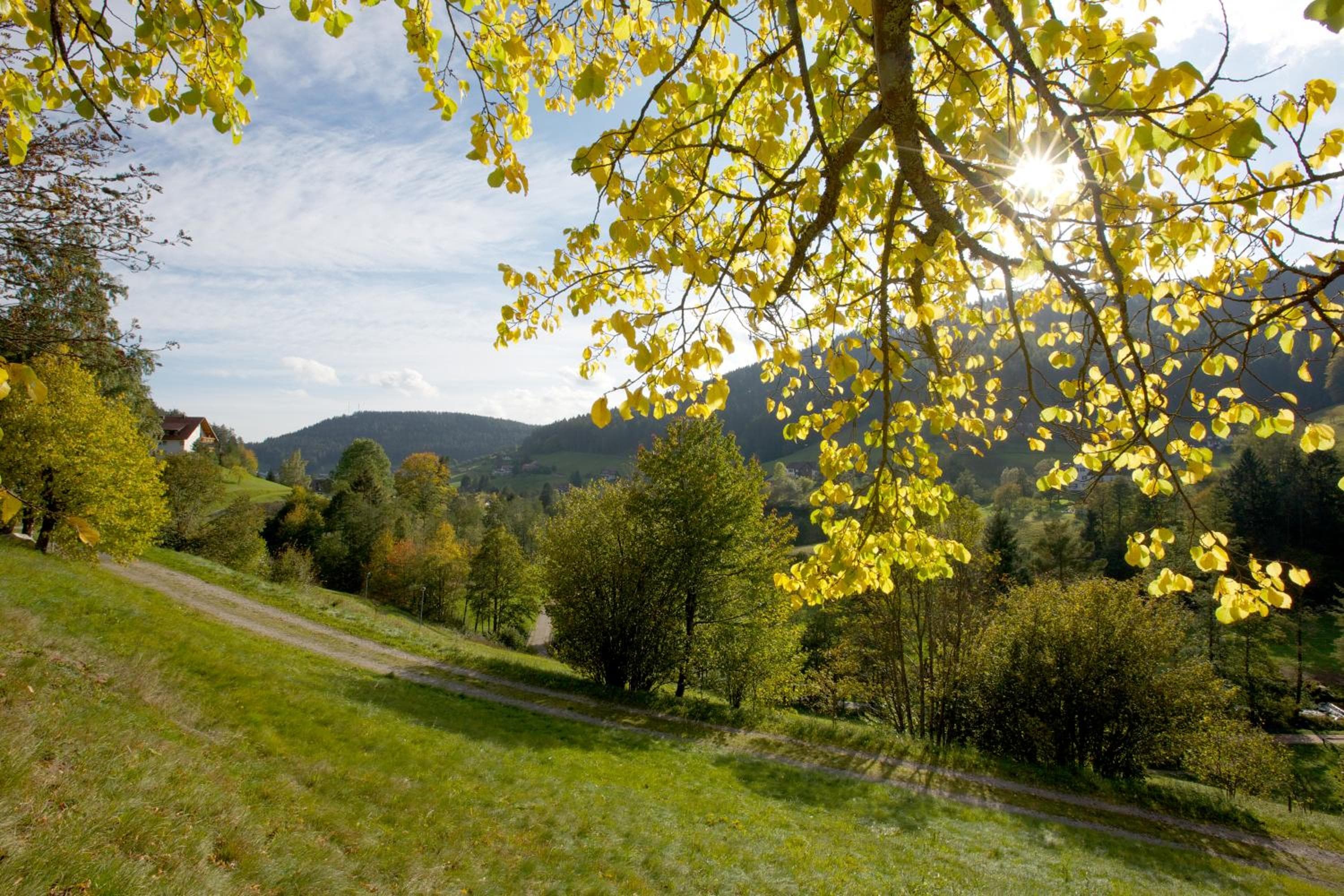 Hotel Traube Tonbach