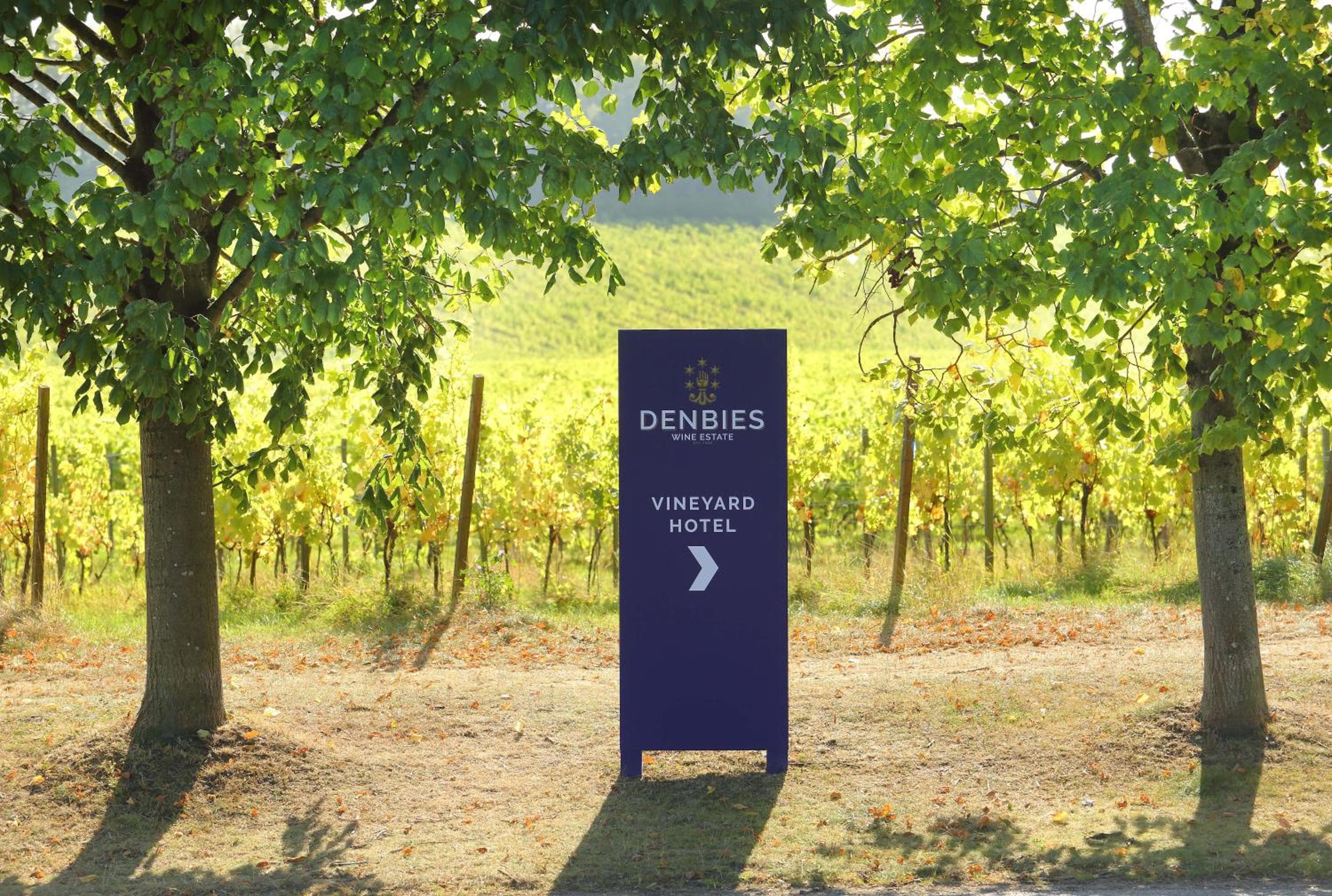 Denbies Vineyard Hotel