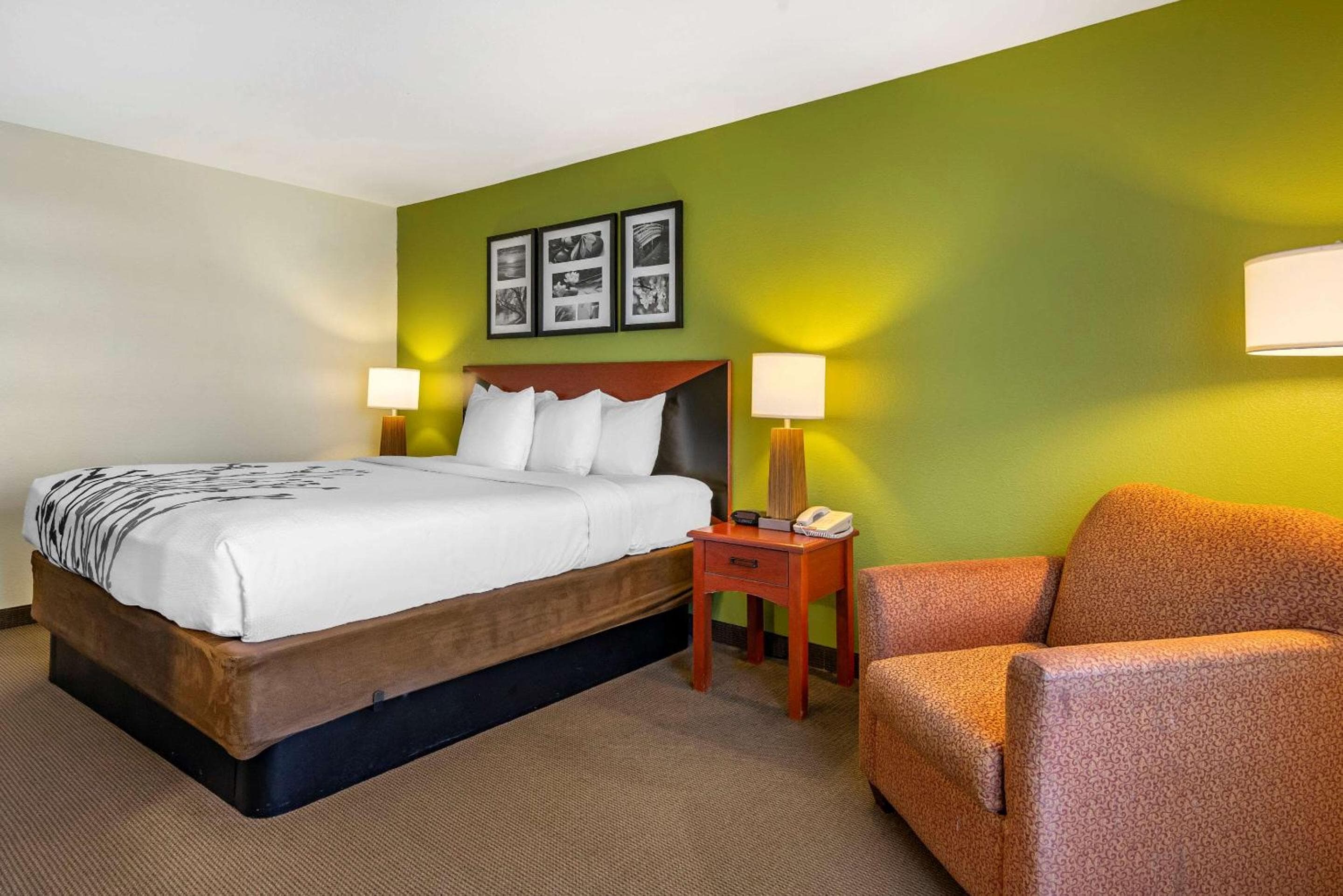 Sleep Inn & Suites Stockbridge Atlanta South