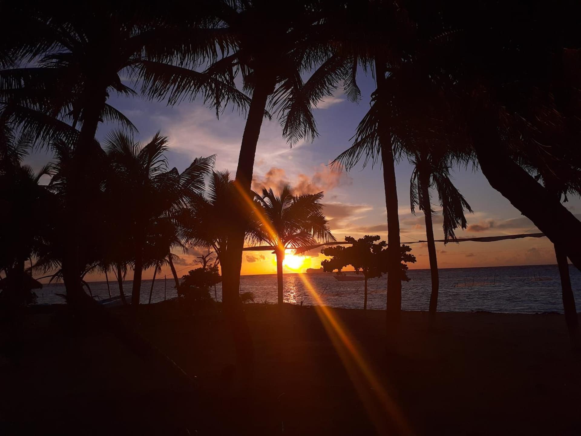 Cabañas Palmeras de Mahahual
