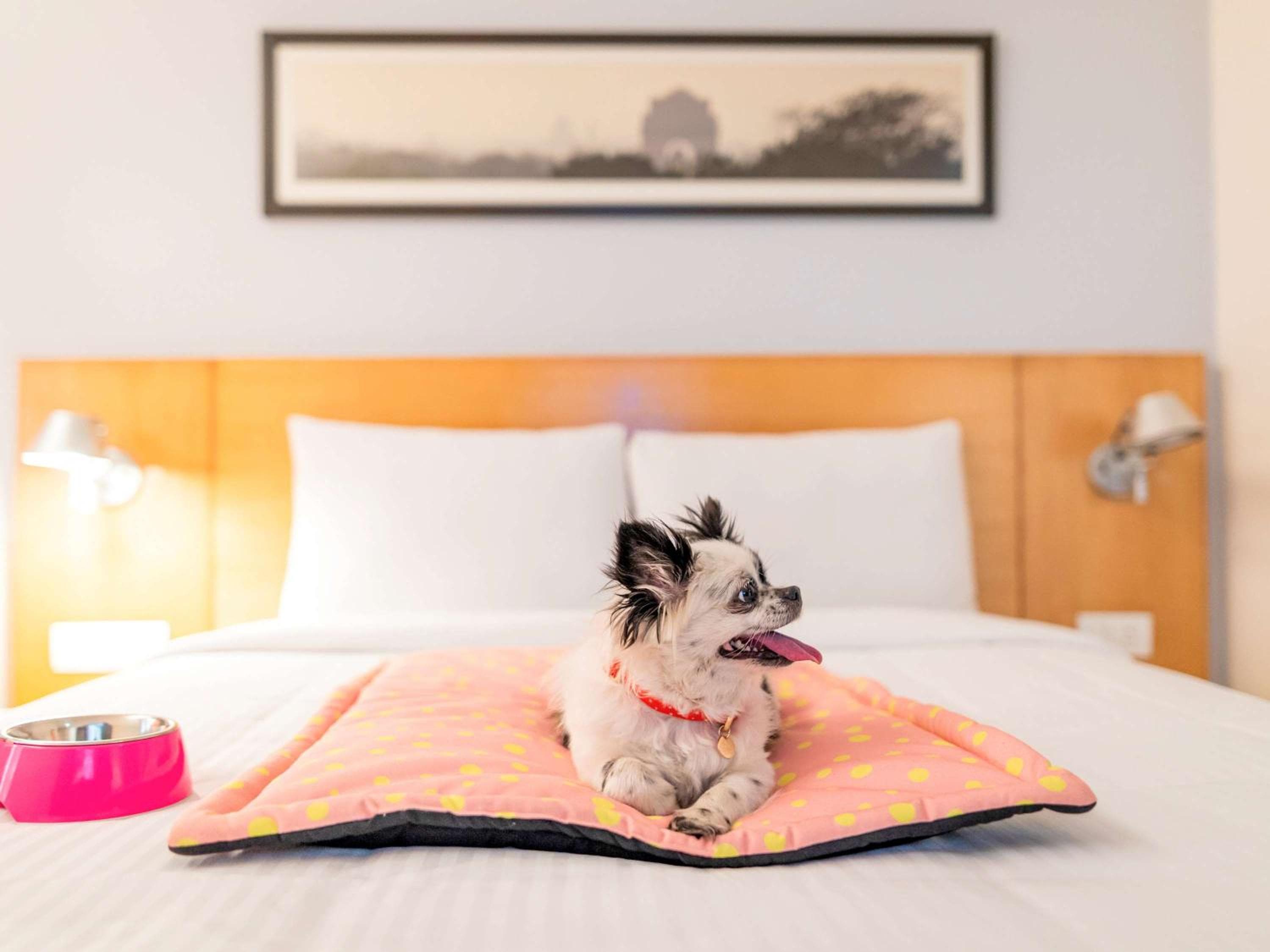 ibis Bengaluru Hosur Road - An Accor Brand
