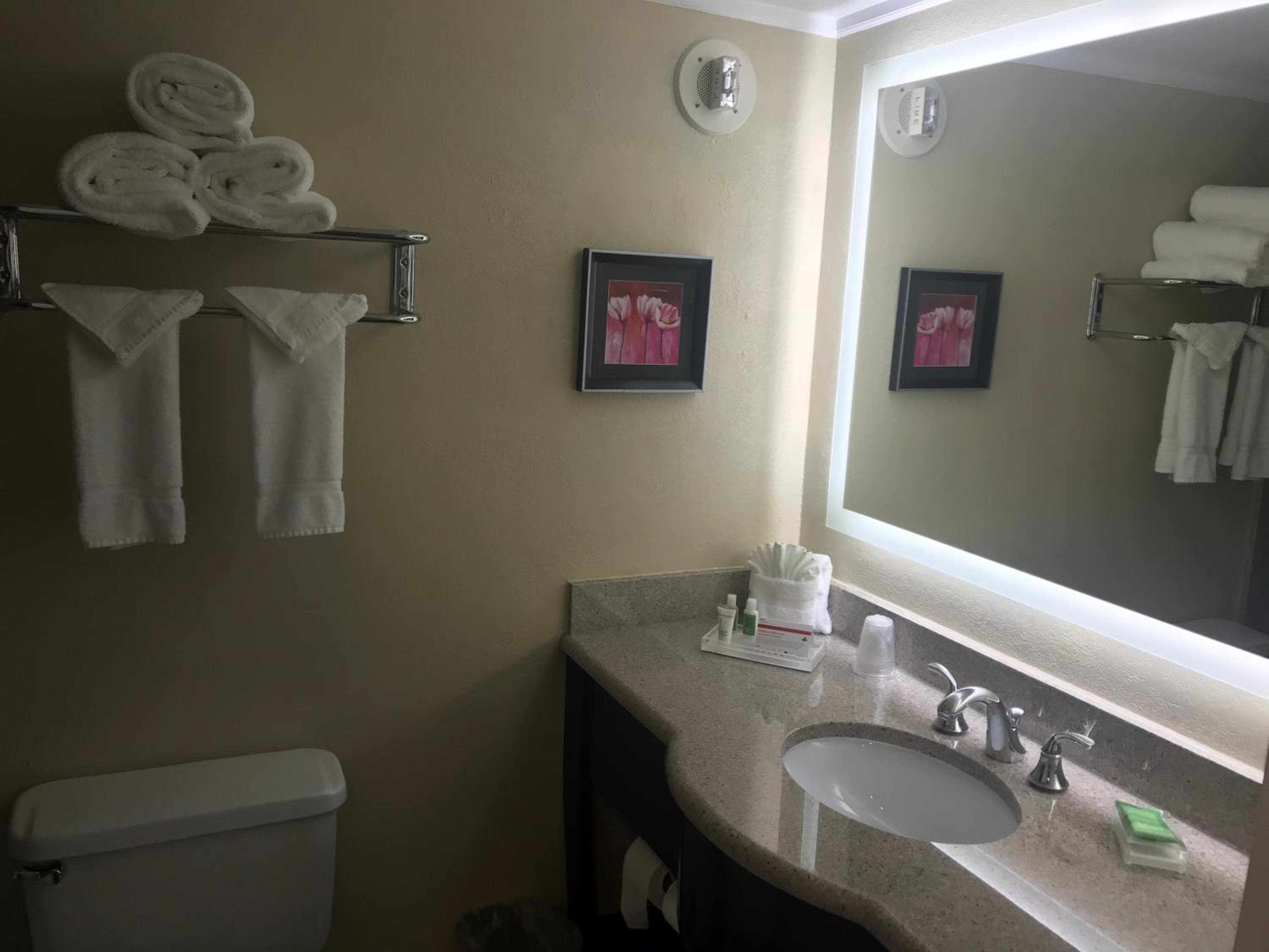 Holiday Inn Orlando East-UCF Area by IHG
