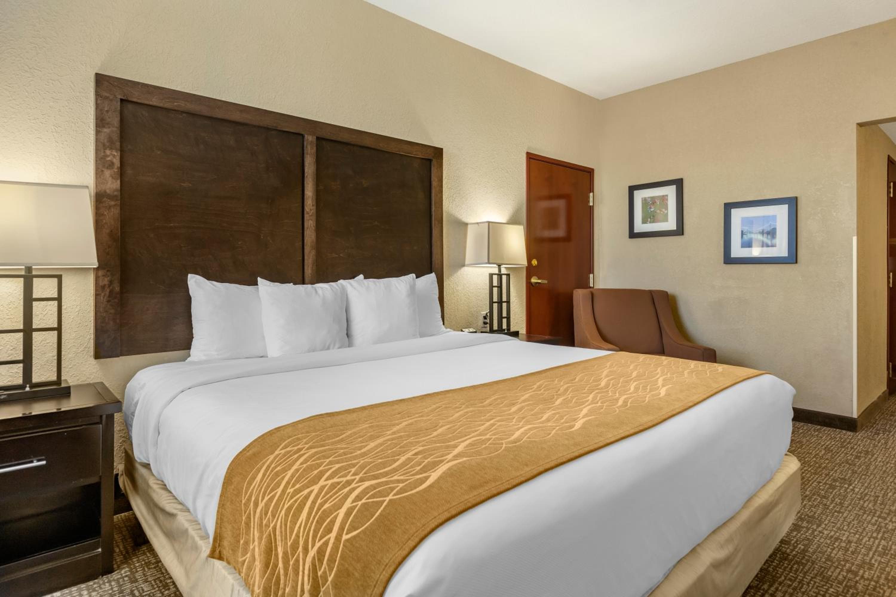 Comfort Inn & Suites Allen Park - Dearborn