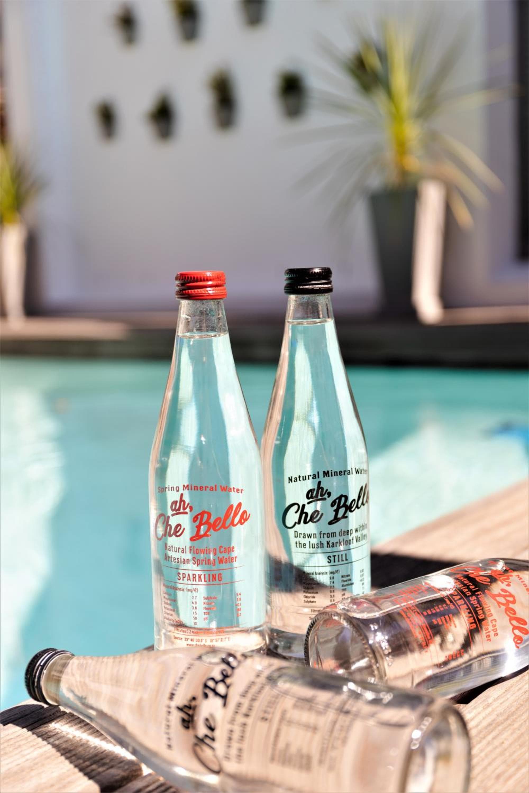 Cape Diem Lodge