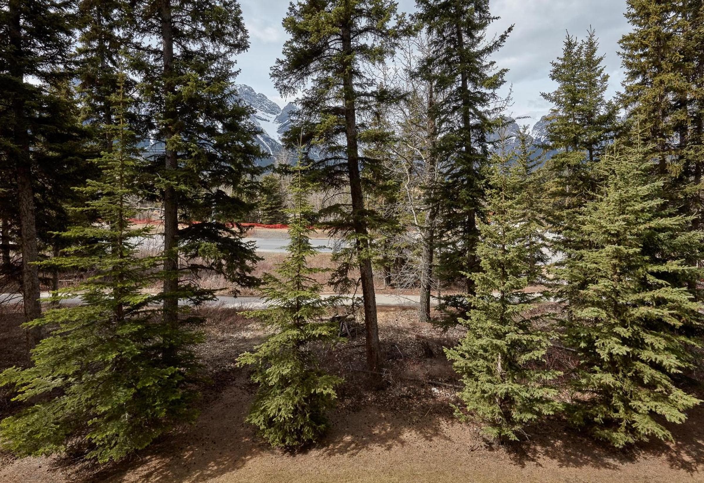 Newly Renovated Grizzly Lodge, Spacious 3BR 2BA with open pool, hot tub