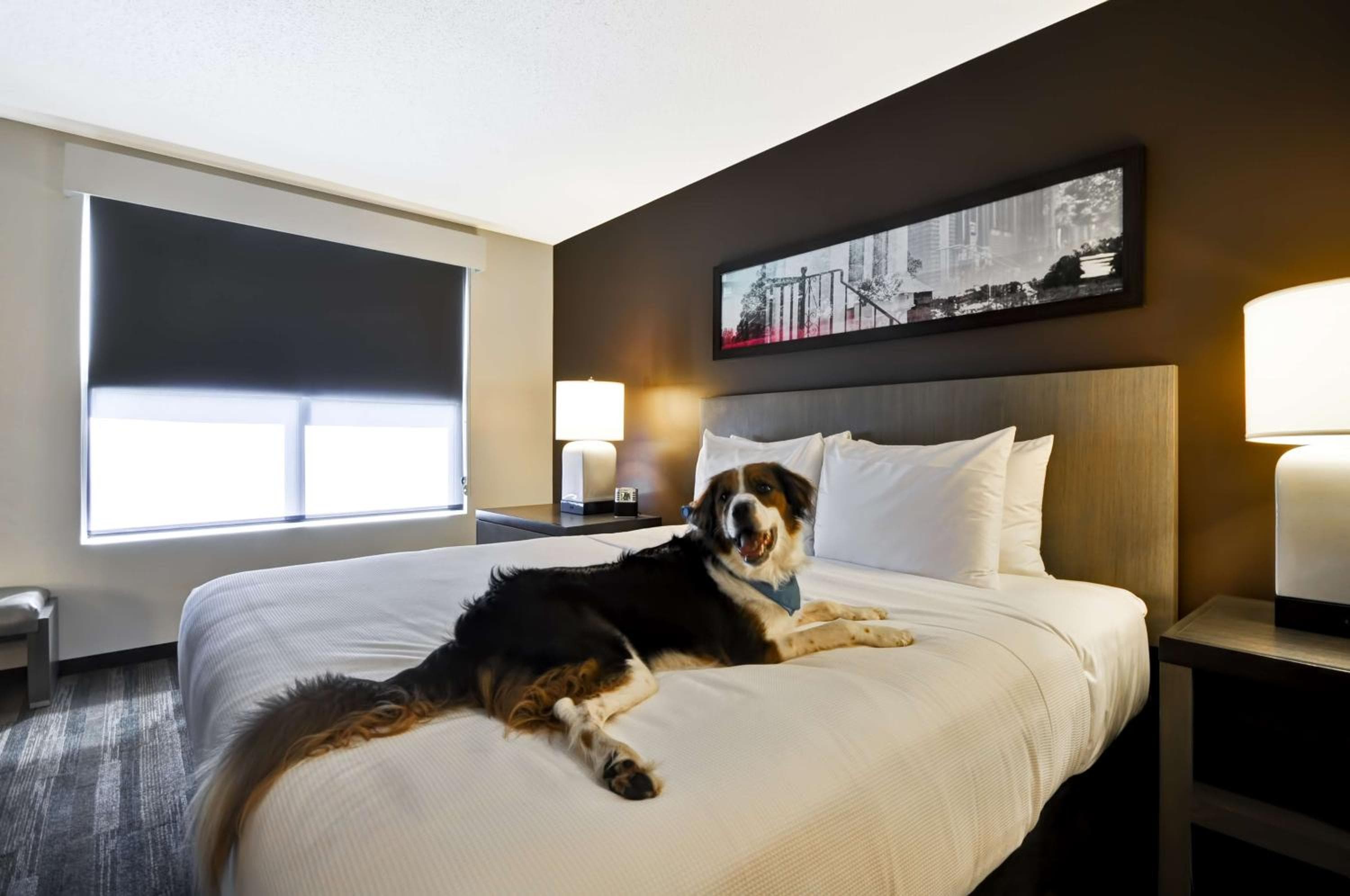 Hyatt House Atlanta Cobb Galleria