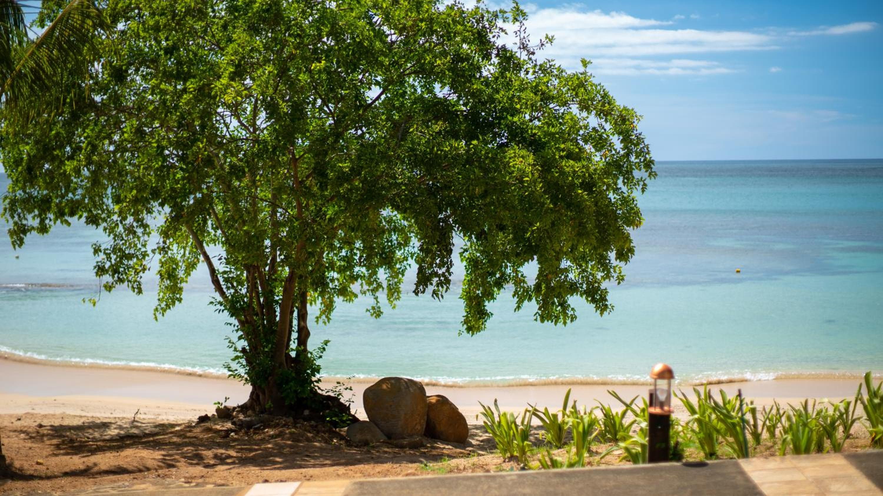 MARITIM Resort & Spa, Turtle Bay