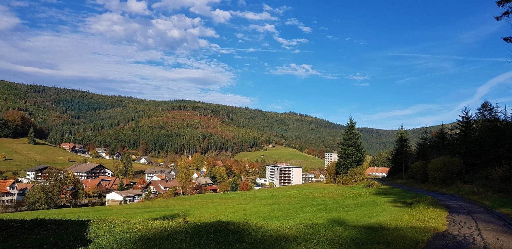 Ferienwohnung Tannenballett mit Panorama über den Schwarzwald in Baiersbronn