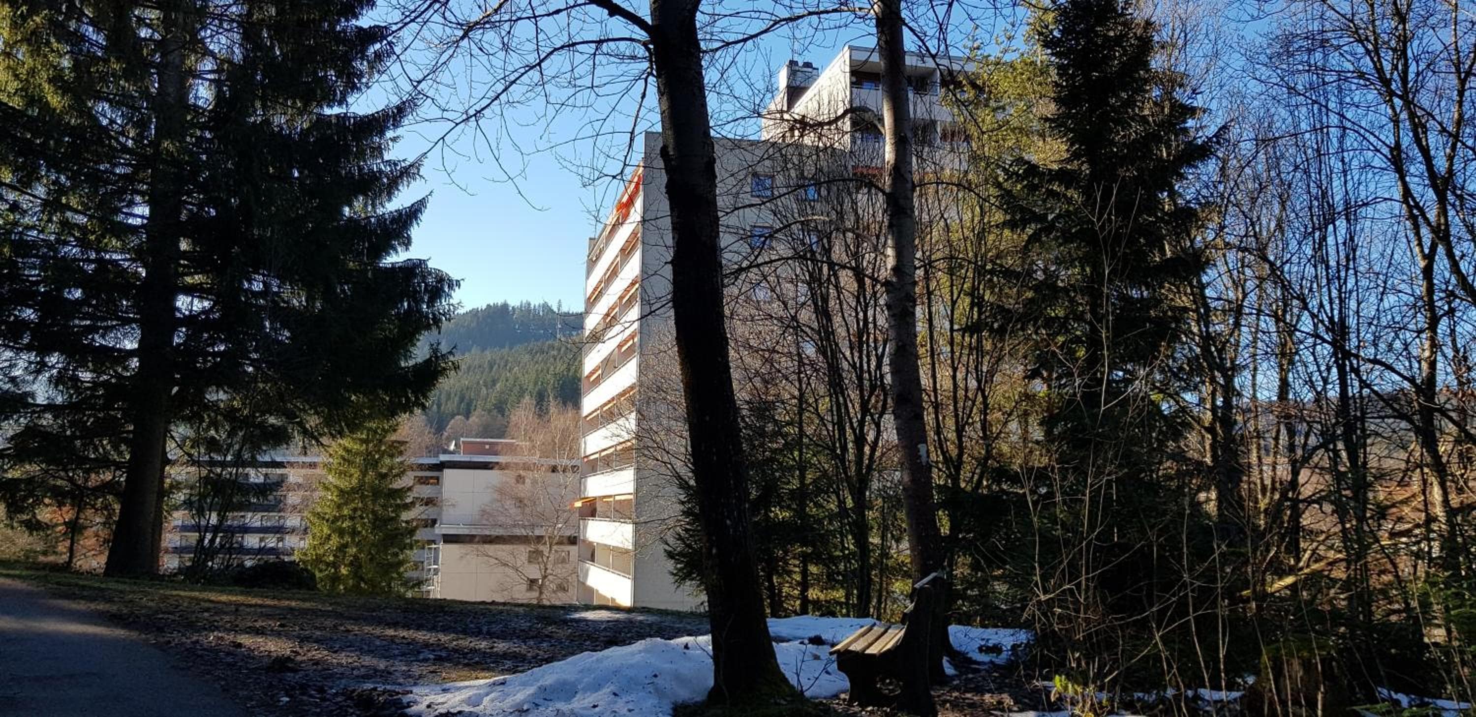 Ferienwohnung Tannenballett mit Panorama über den Schwarzwald in Baiersbronn