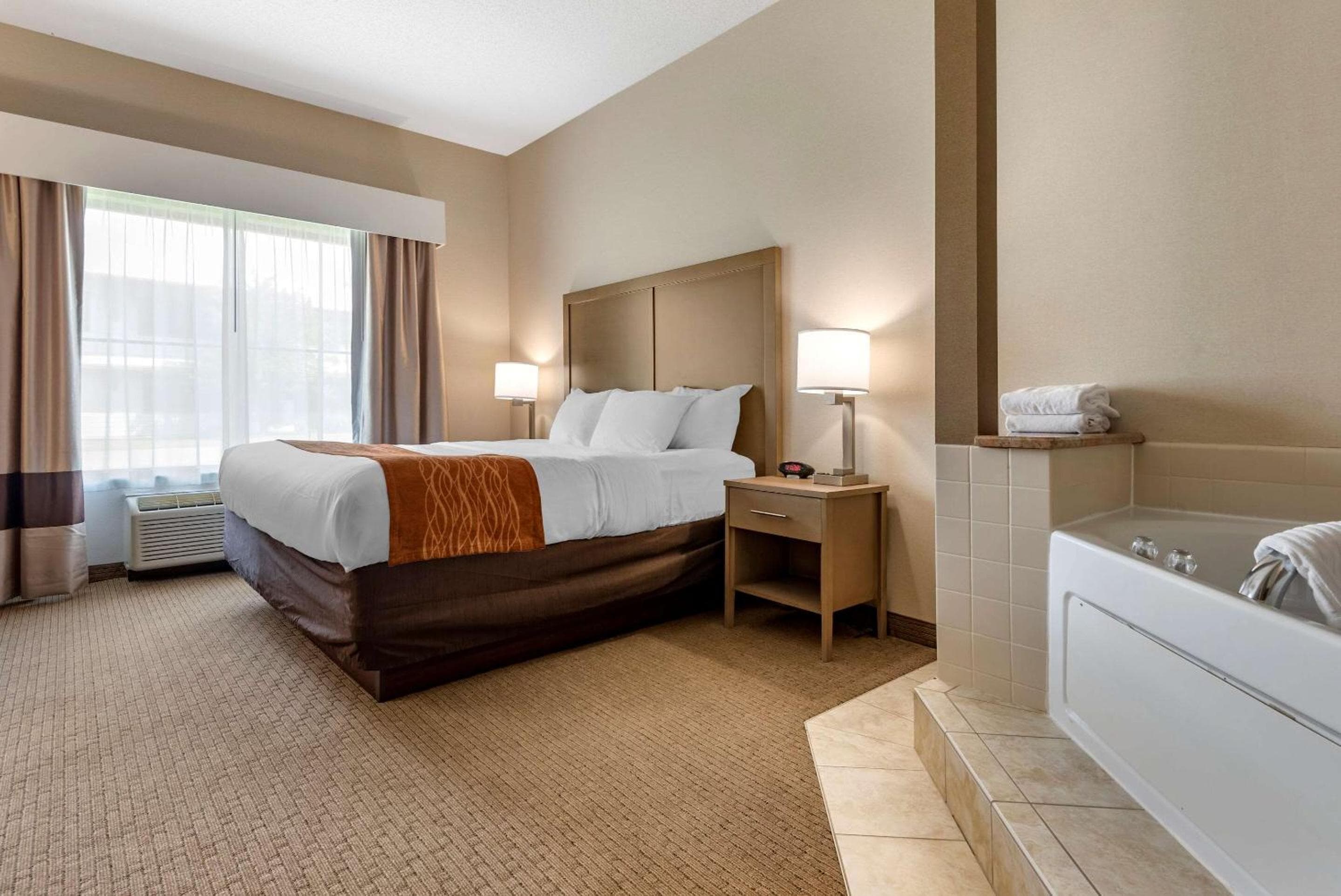 Comfort Inn & Suites Farmington - Victor