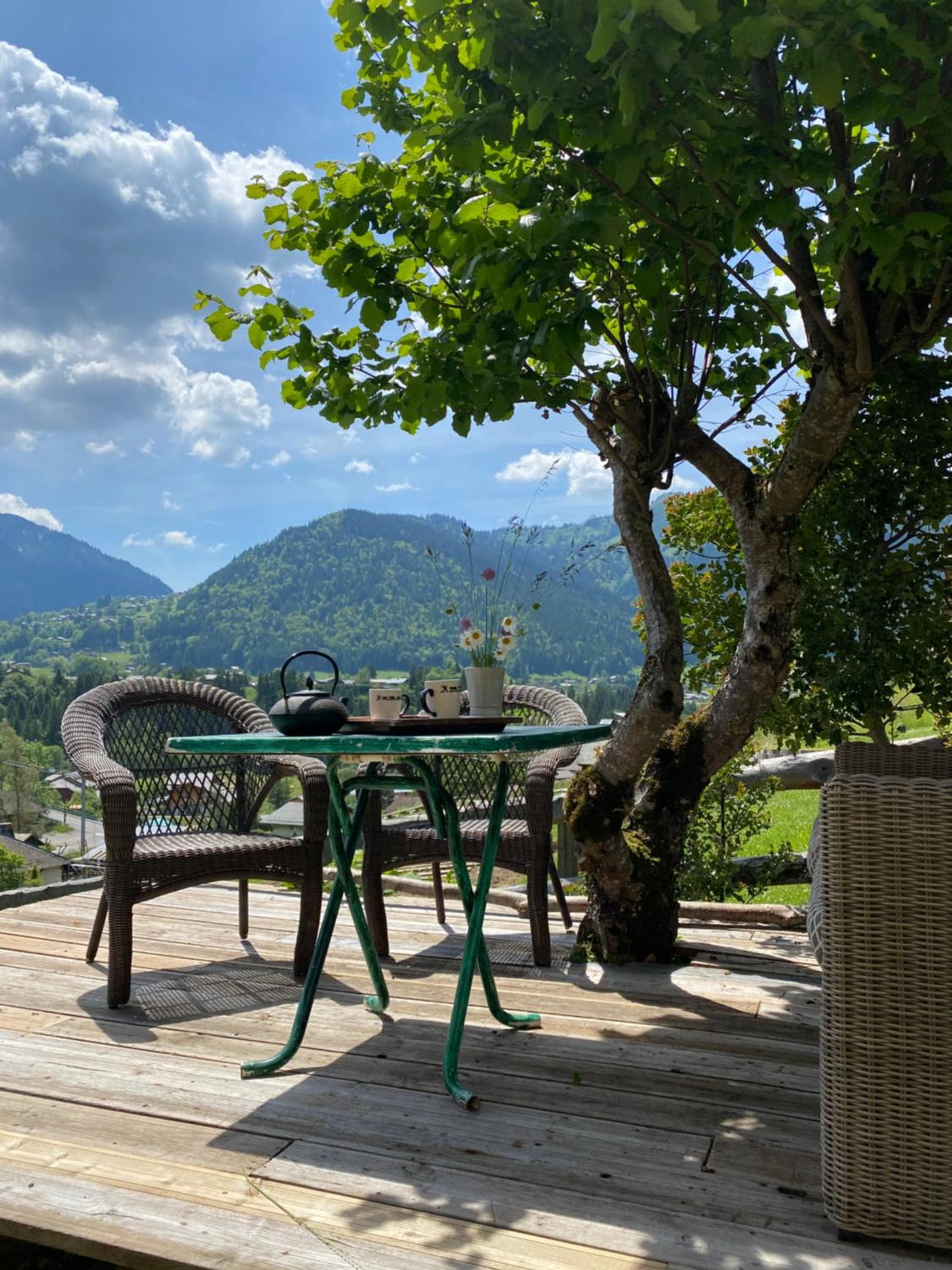 Chalet Génépi