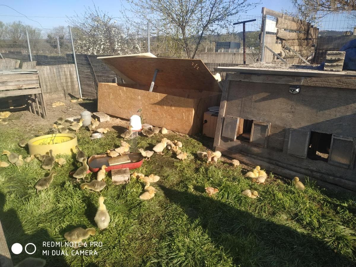 Gîte à la ferme
