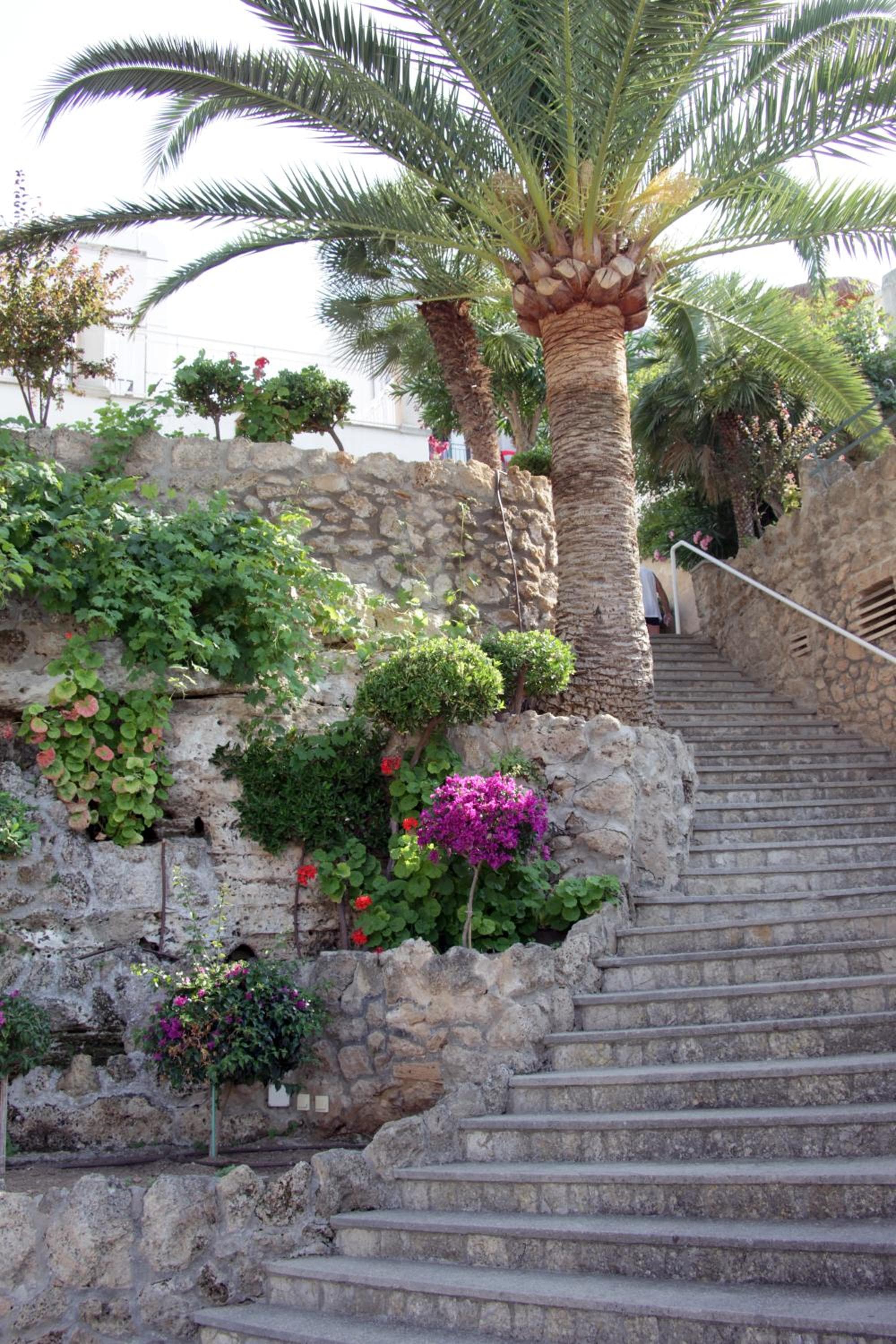 Hotel Casablanca