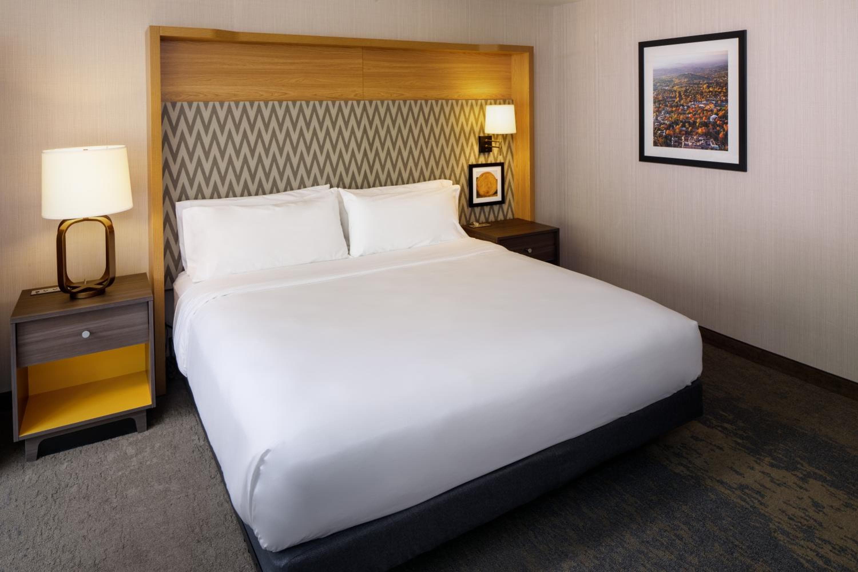 Holiday Inn Charlottesville-Monticello by IHG