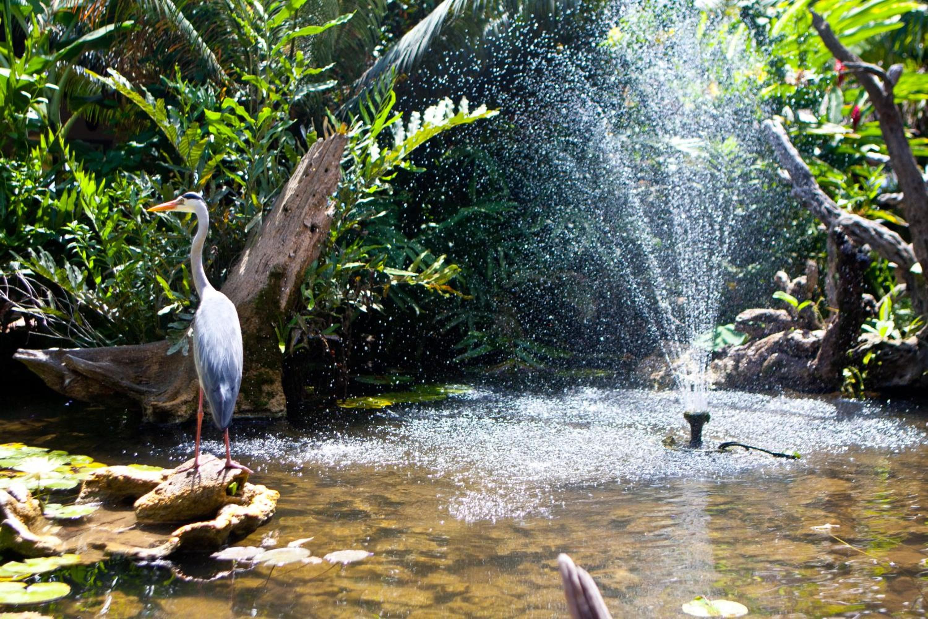 Leopard Beach Resort and Spa