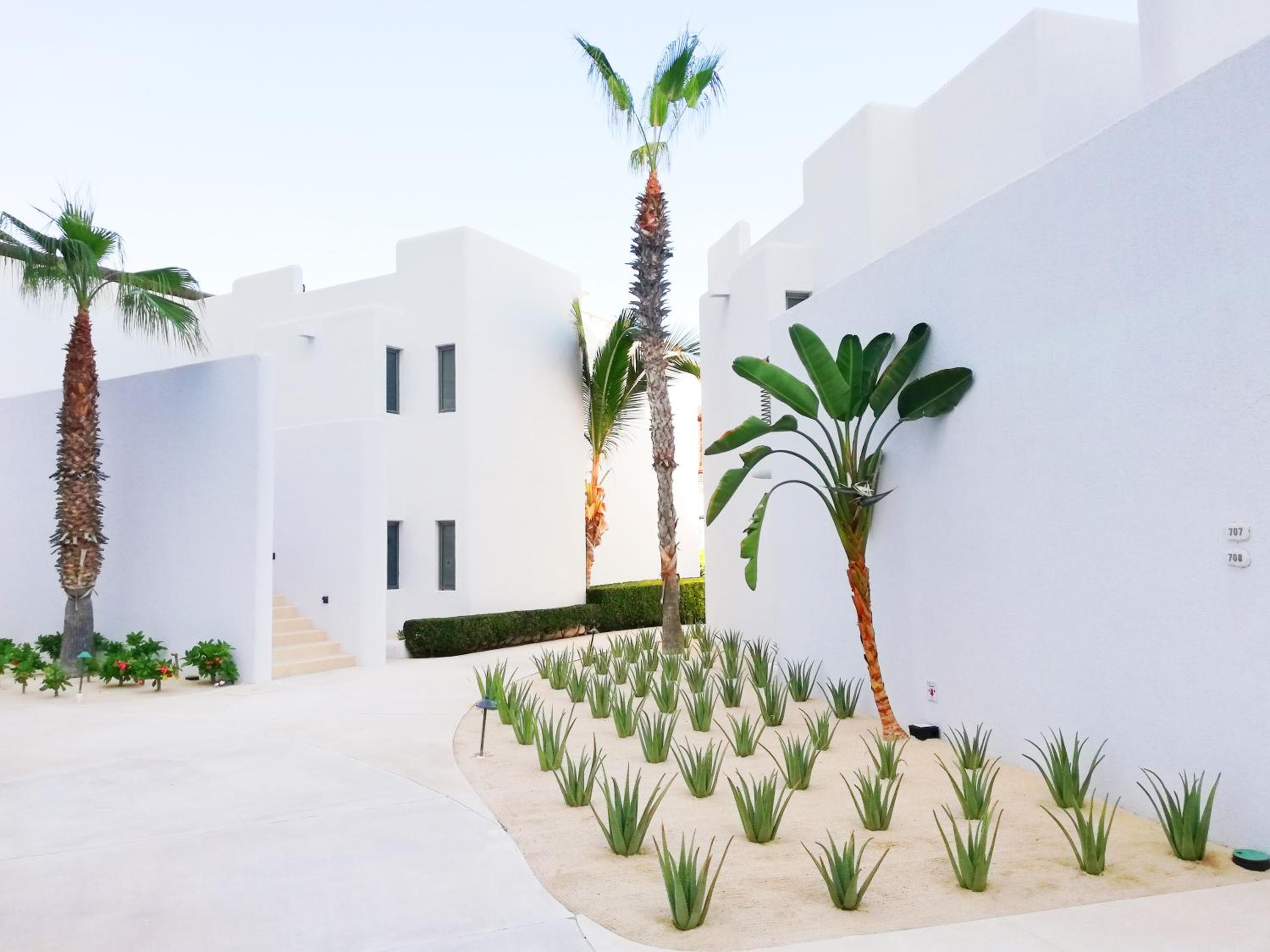 Marquis Los Cabos, an All - Inclusive, Adults - Only & No Timeshare Resort