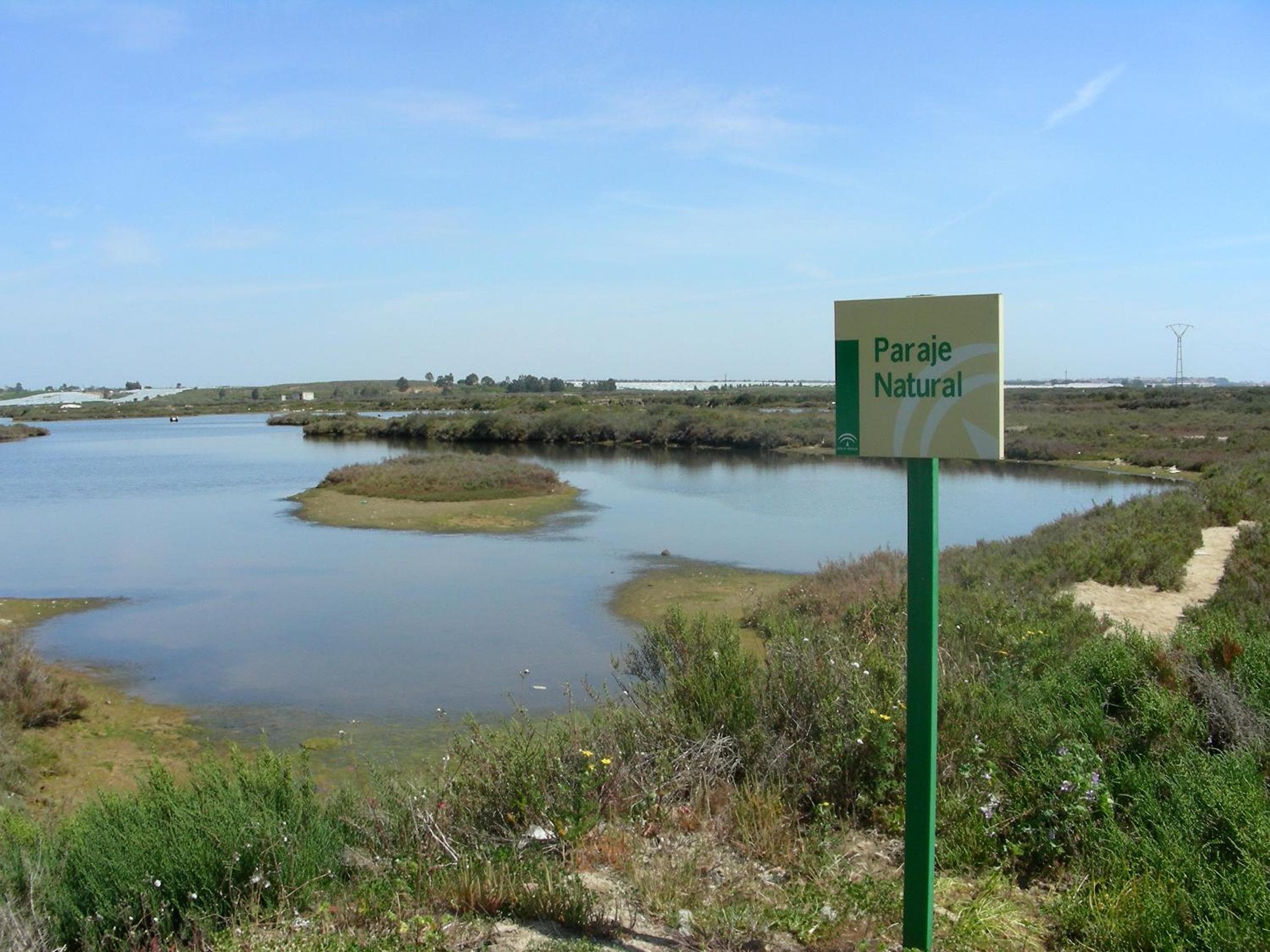 Puerta Salina Isla Cristina