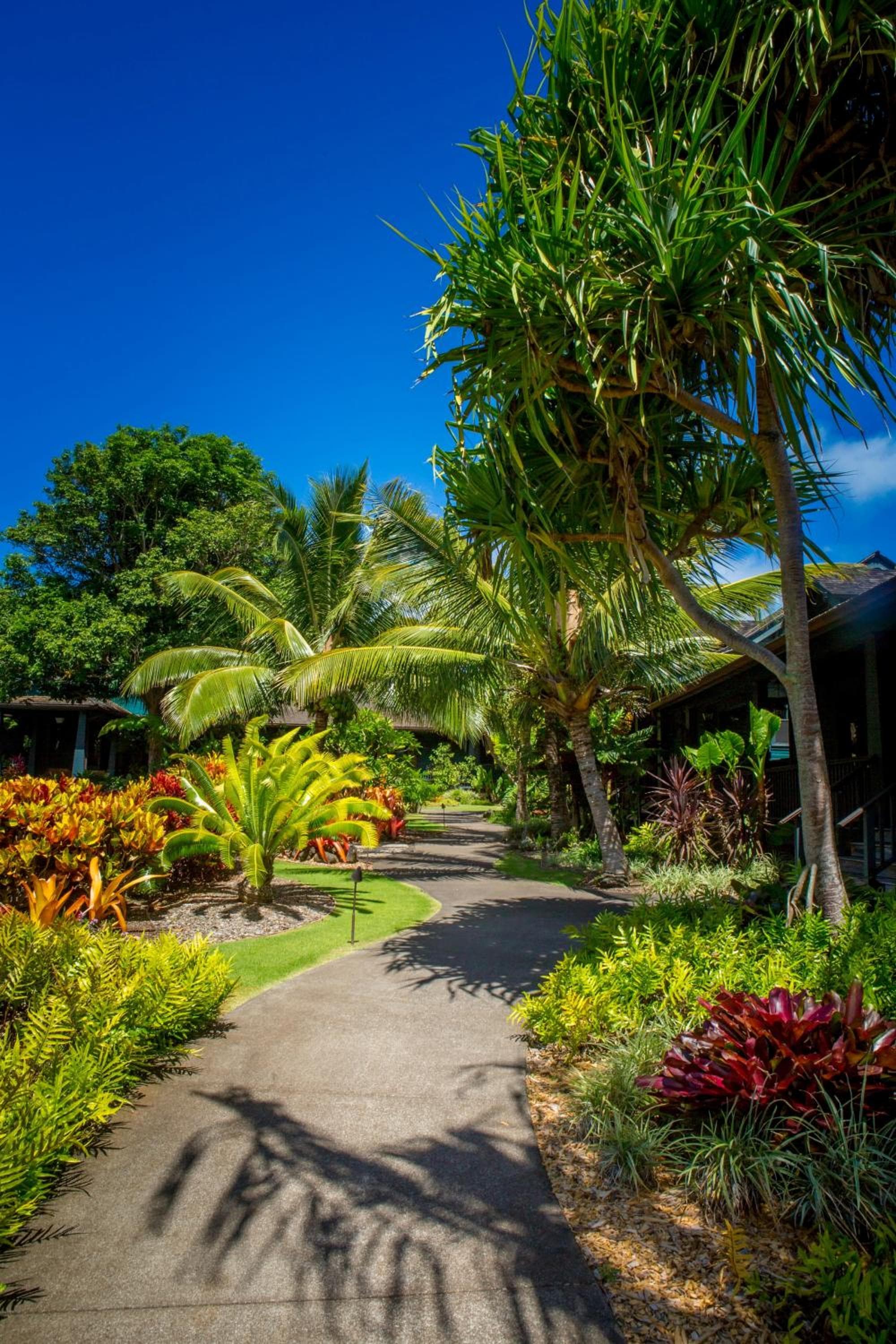 Lumeria Maui, Wellness Retreat Center