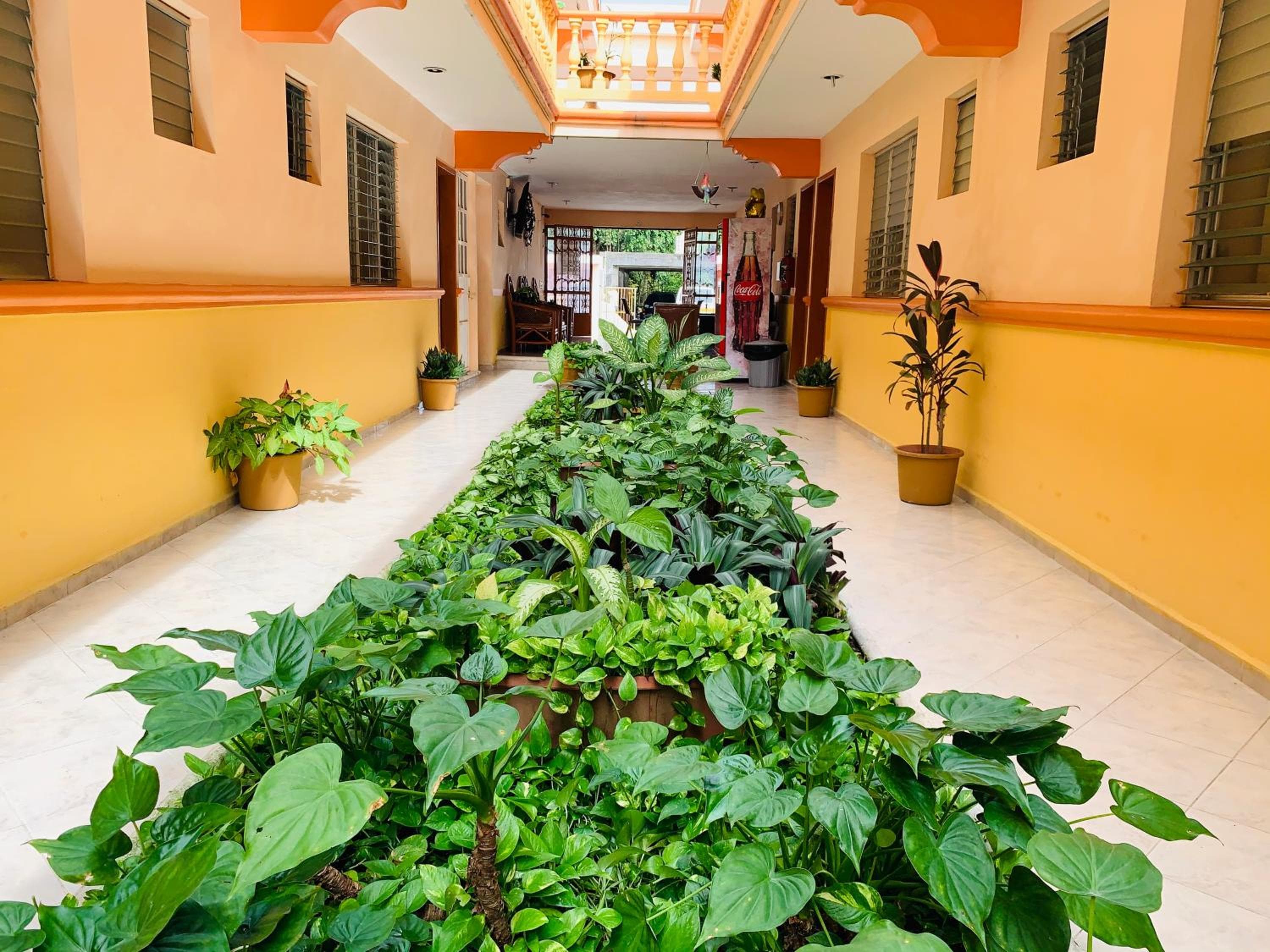 Hotel Isla Esmeralda