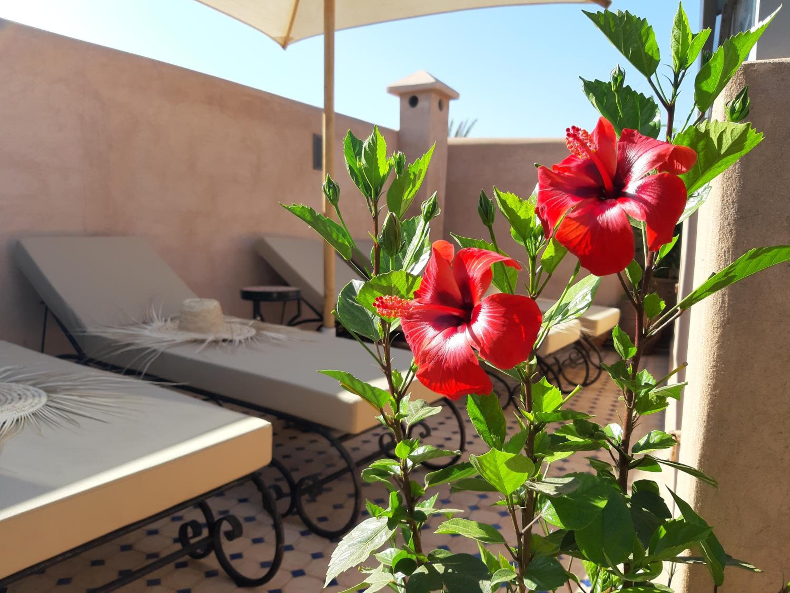 Riad Miral