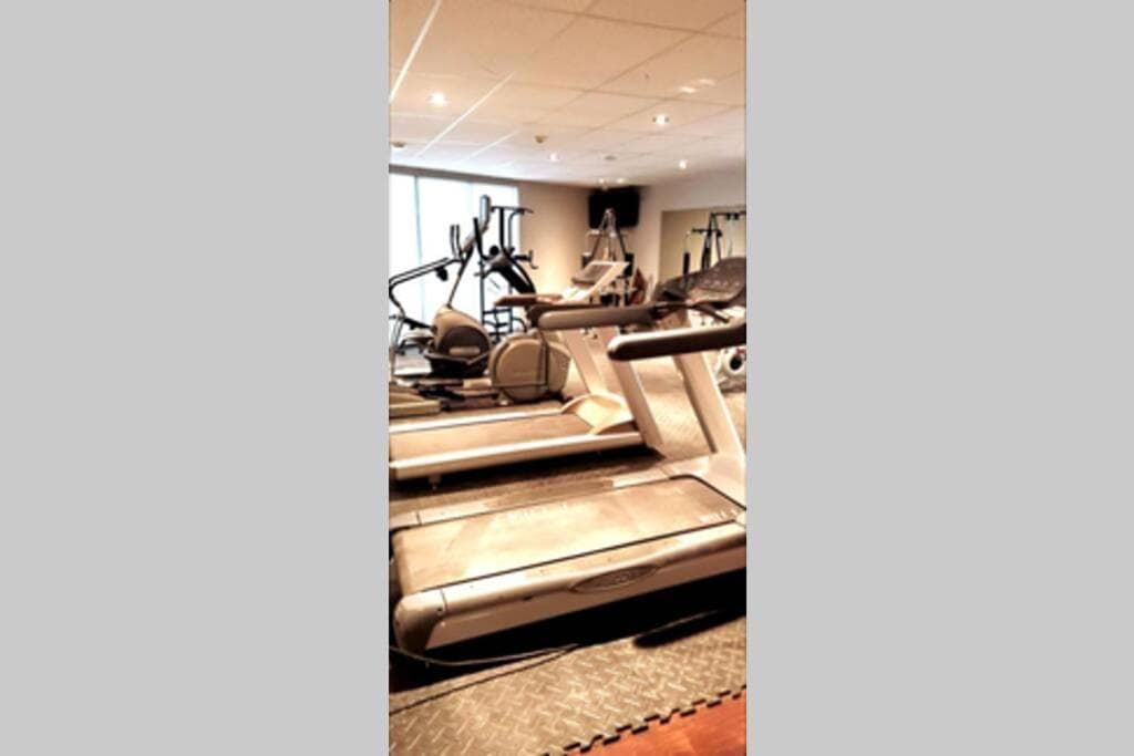 Cozy Sweet Studio #5, Only 10 min to D.T. Ottawa