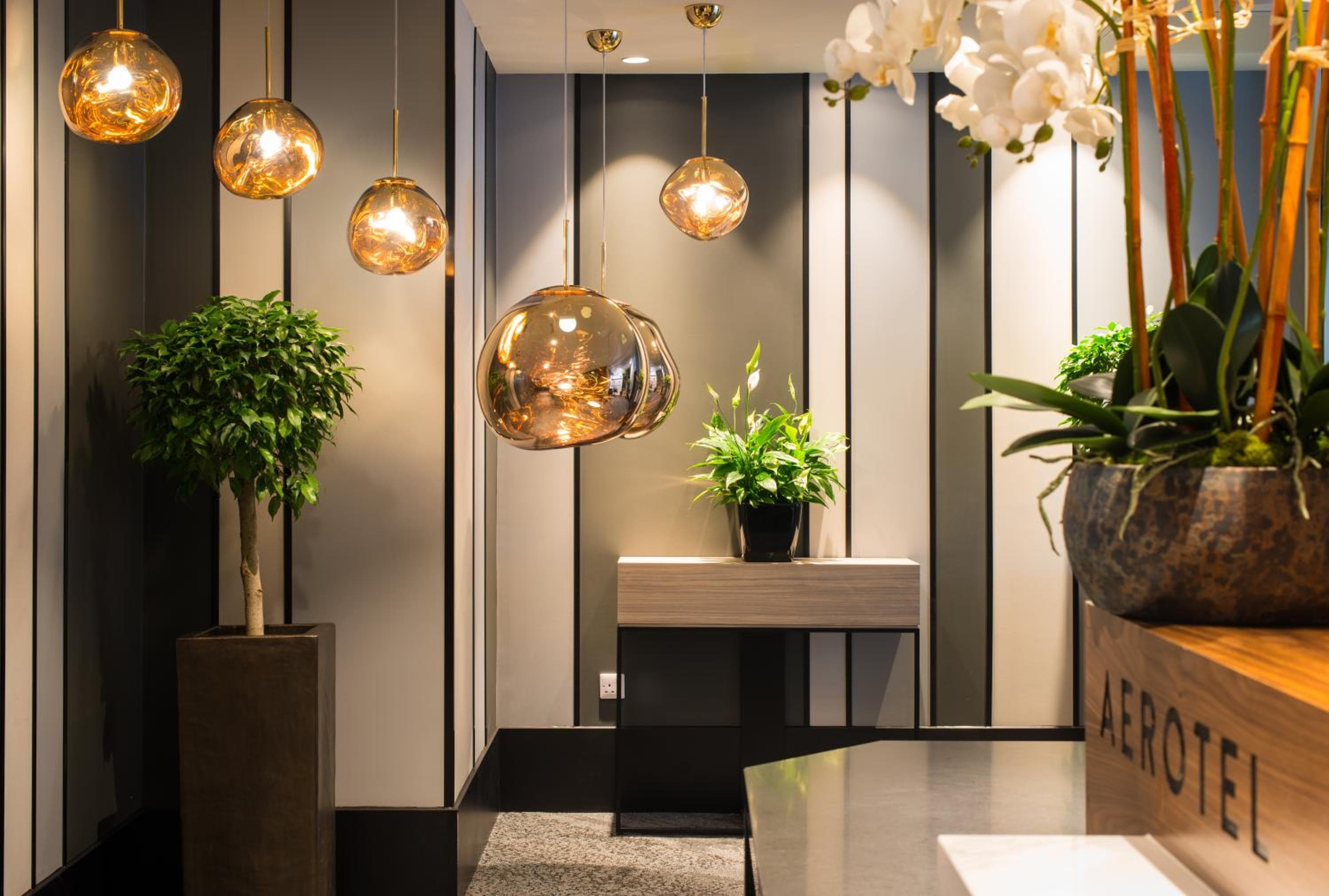 recepcion & lobby