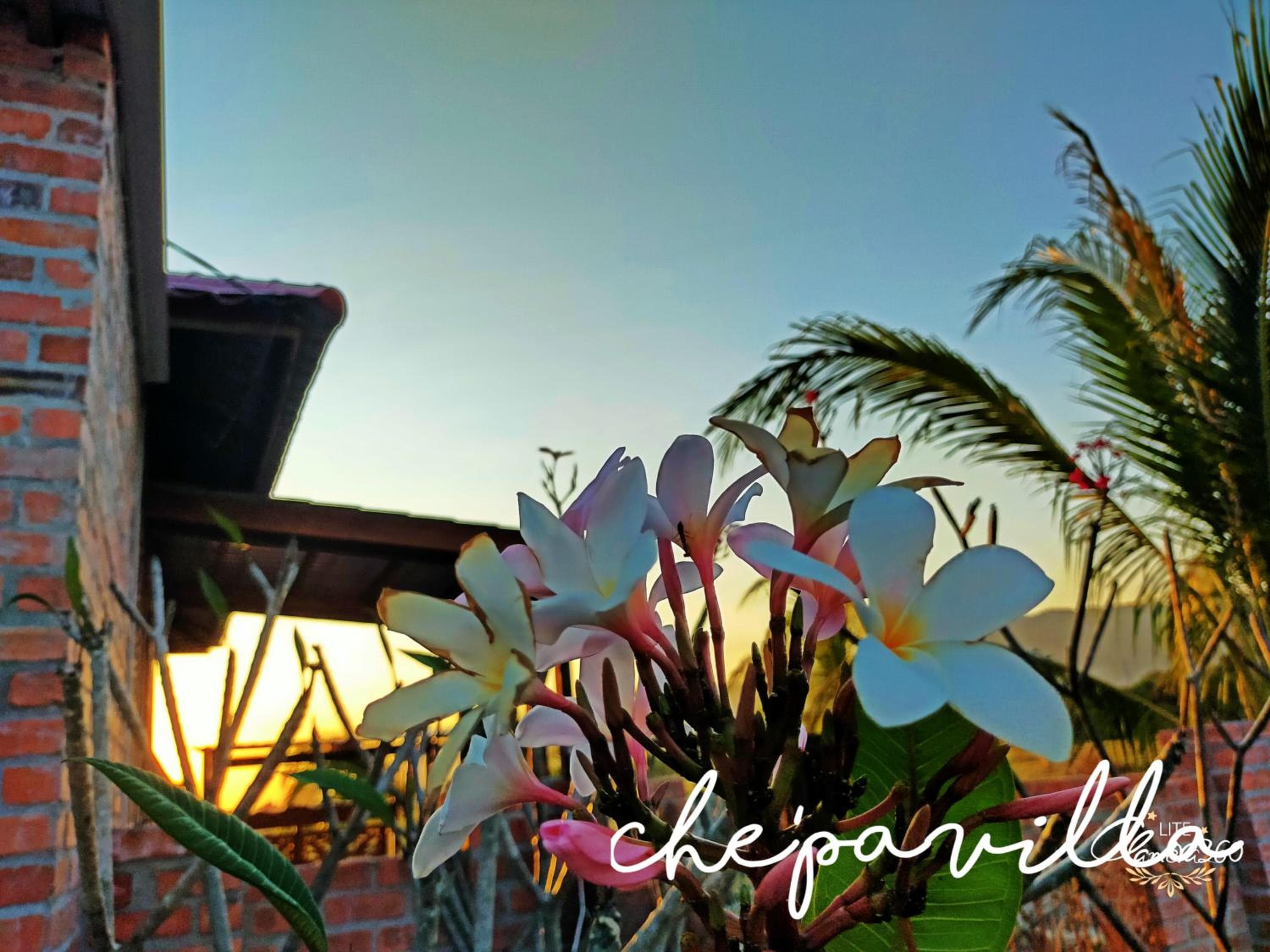 Che'Pa Village Langkawi