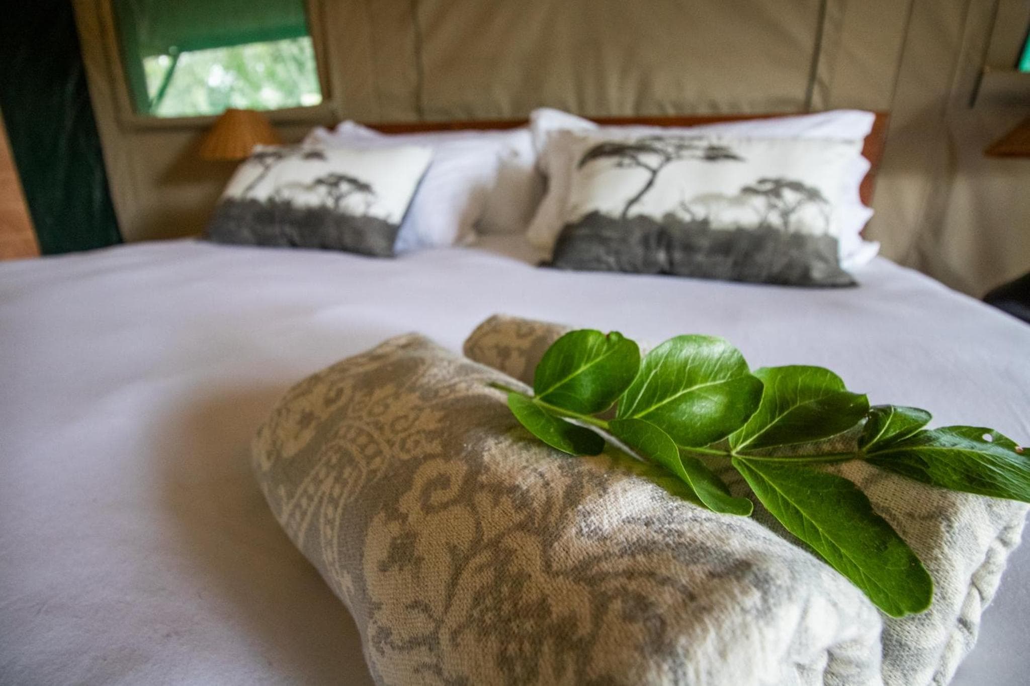 Little Africa Safari Lodge