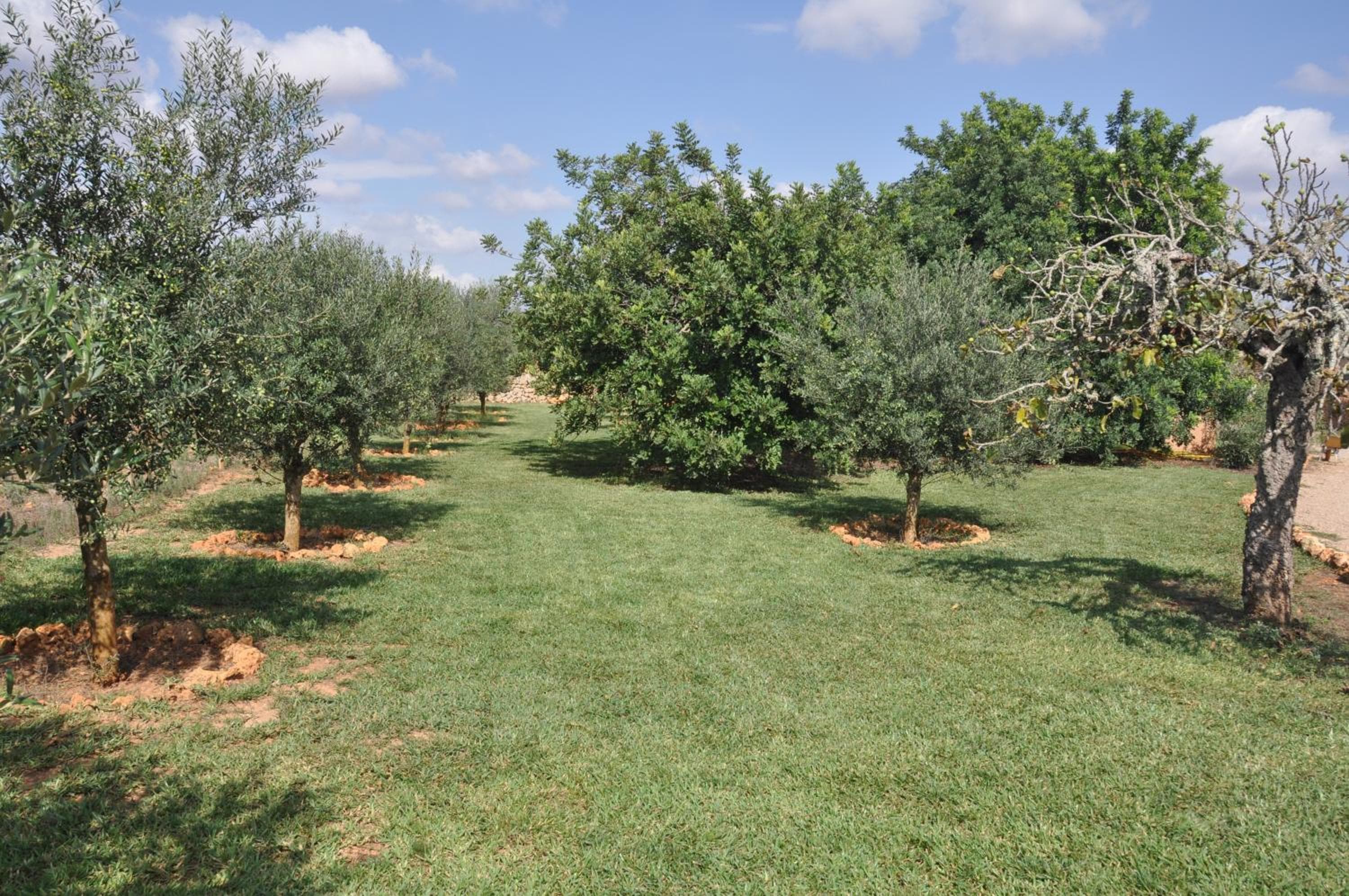 Can Porretí Agroturisme