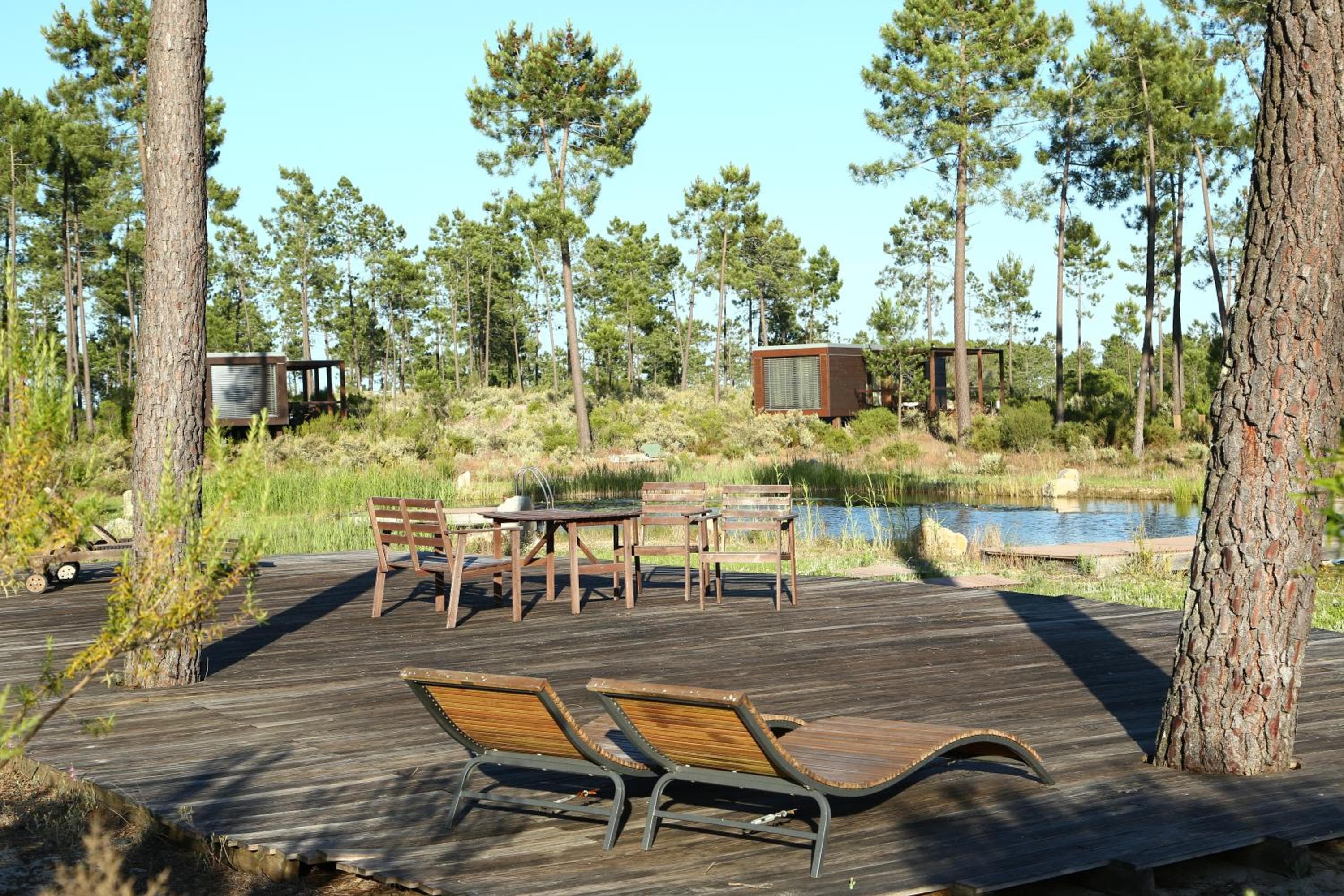 Cocoon Eco Design Lodges