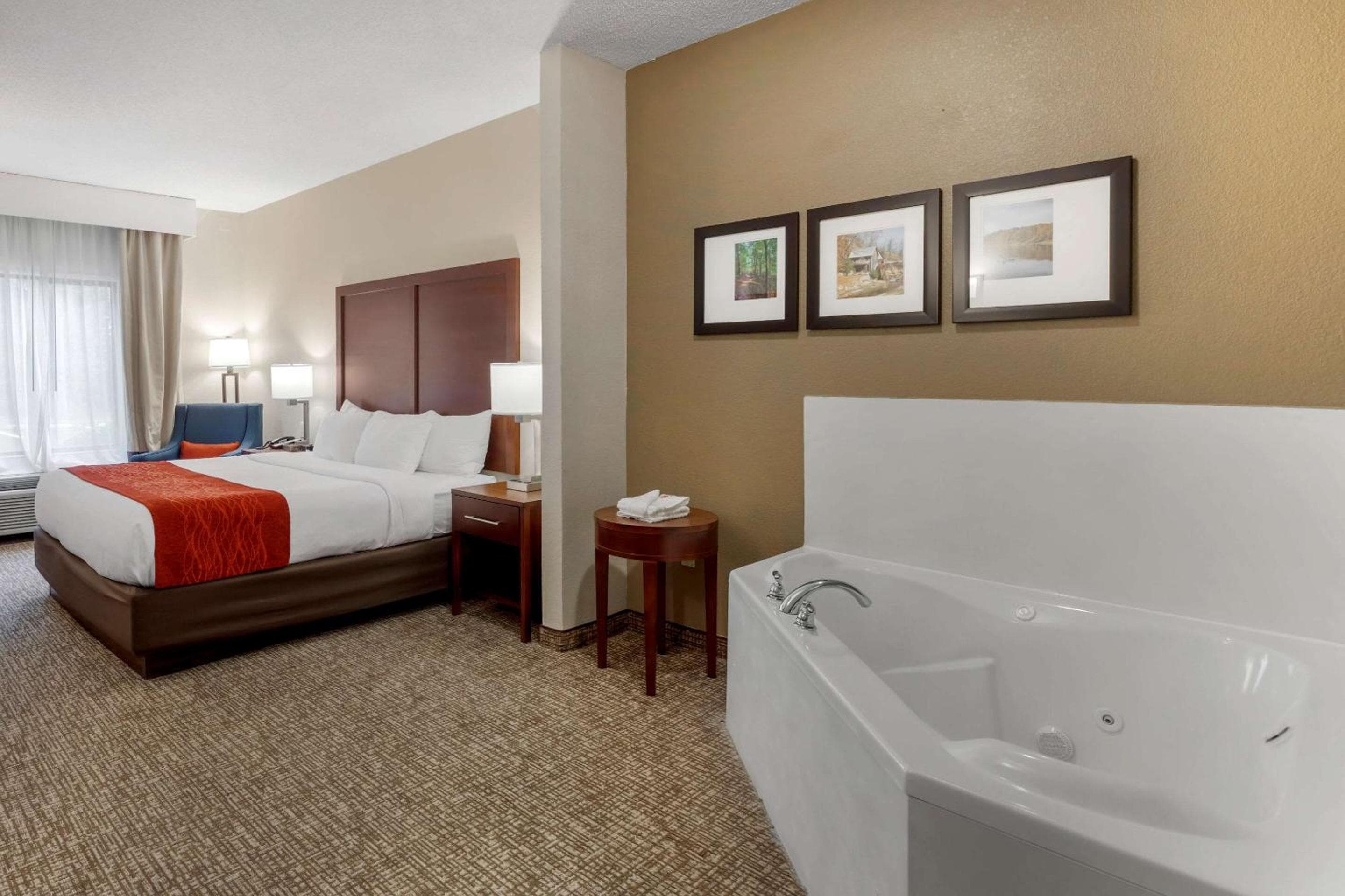 Comfort Inn & Suites Canton Riverstone Area