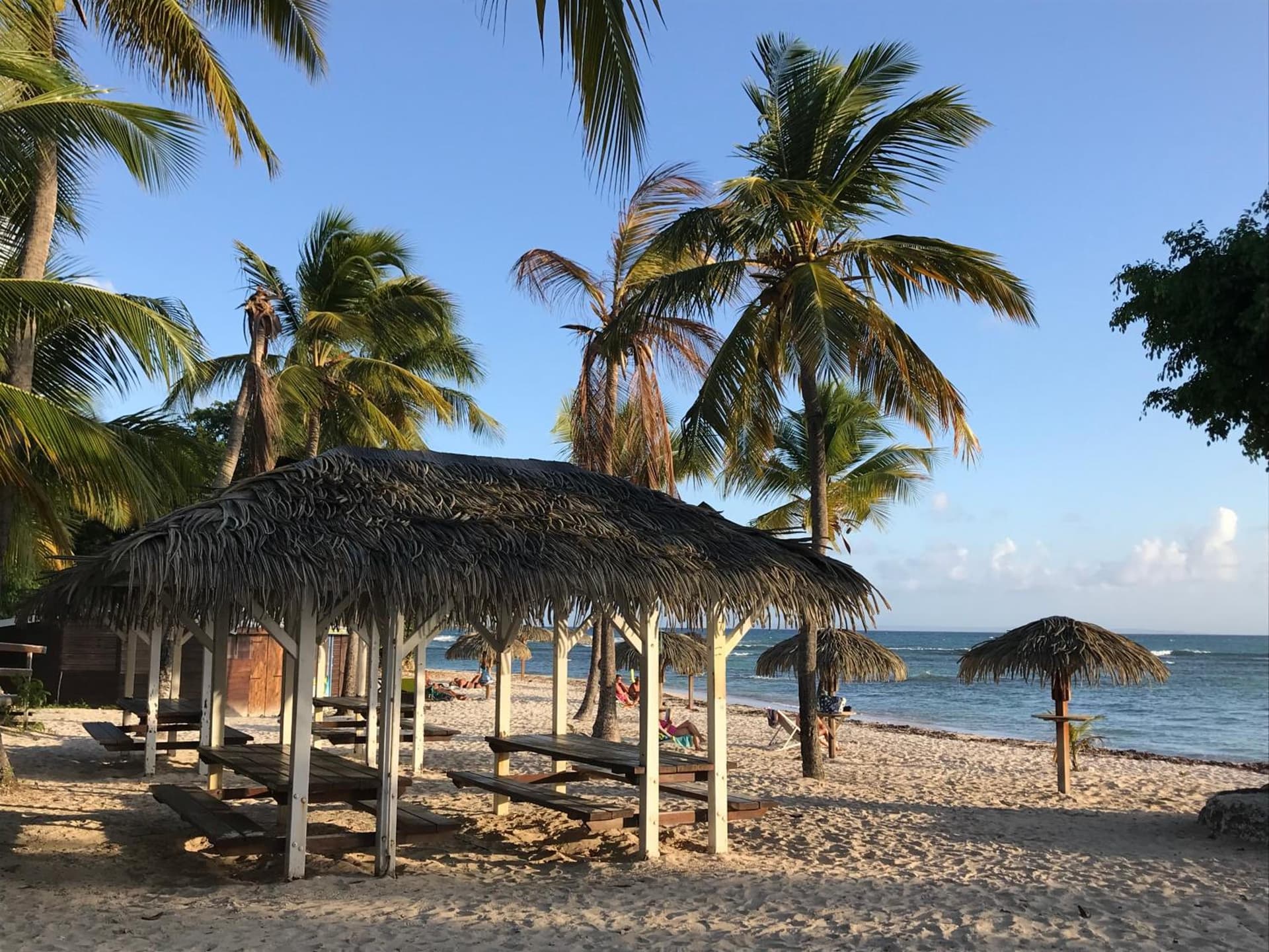 COEUR TIARE studio lounge piscine plage cocotiers