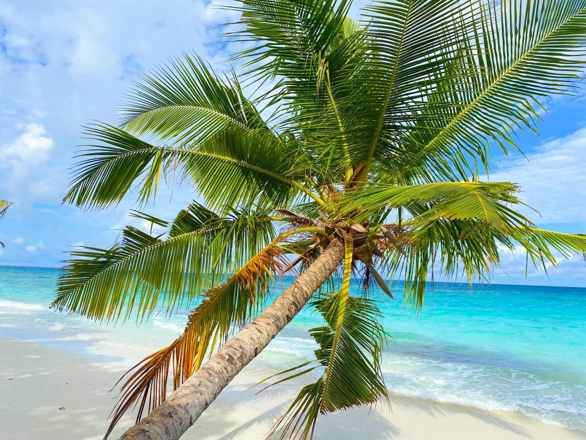 TME Retreats Dhigurah