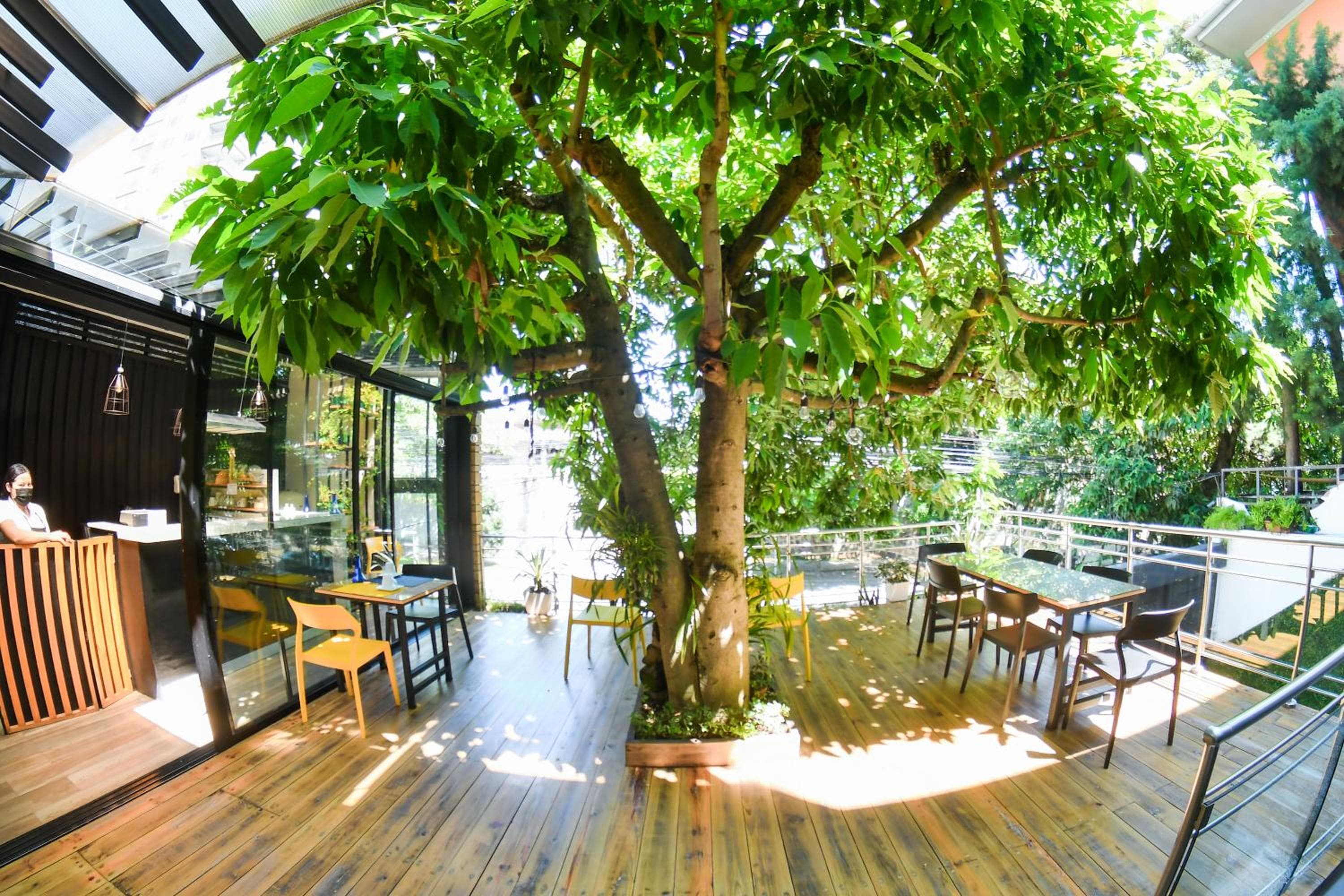 Kaleo Hotel Boutique