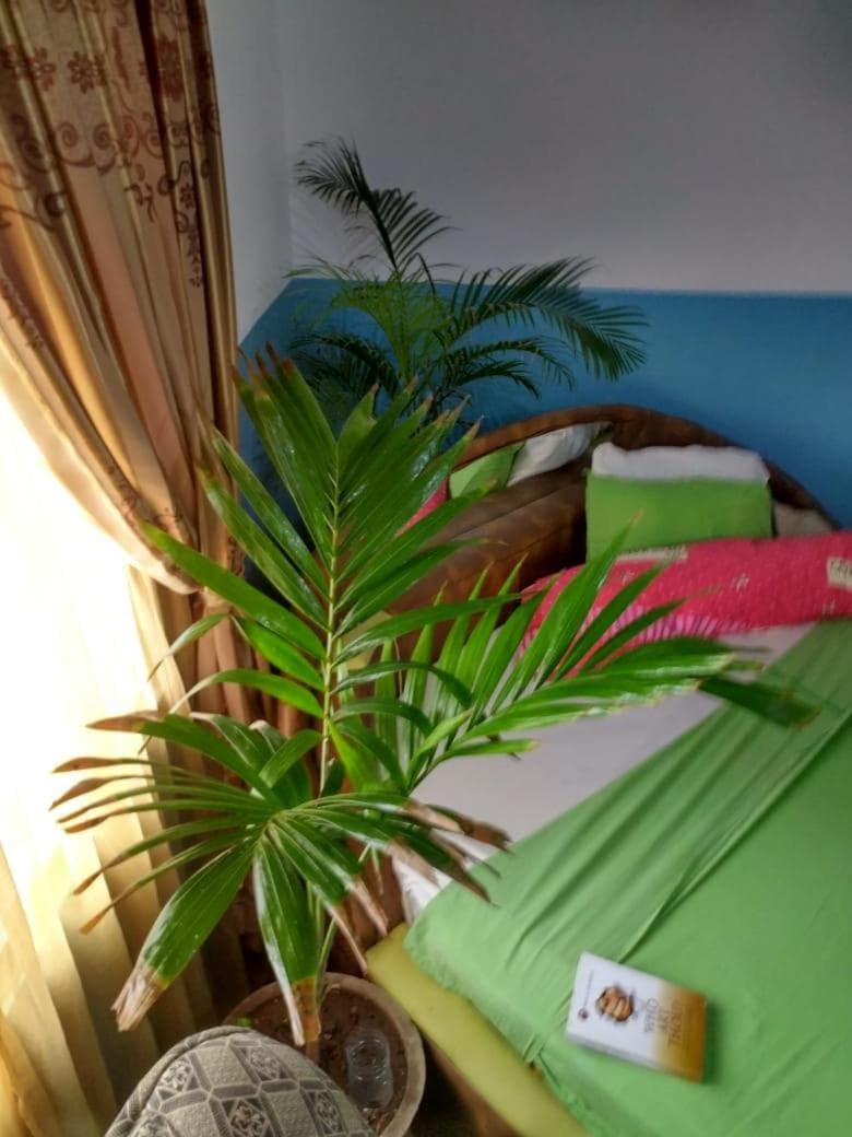 Elizz guest house