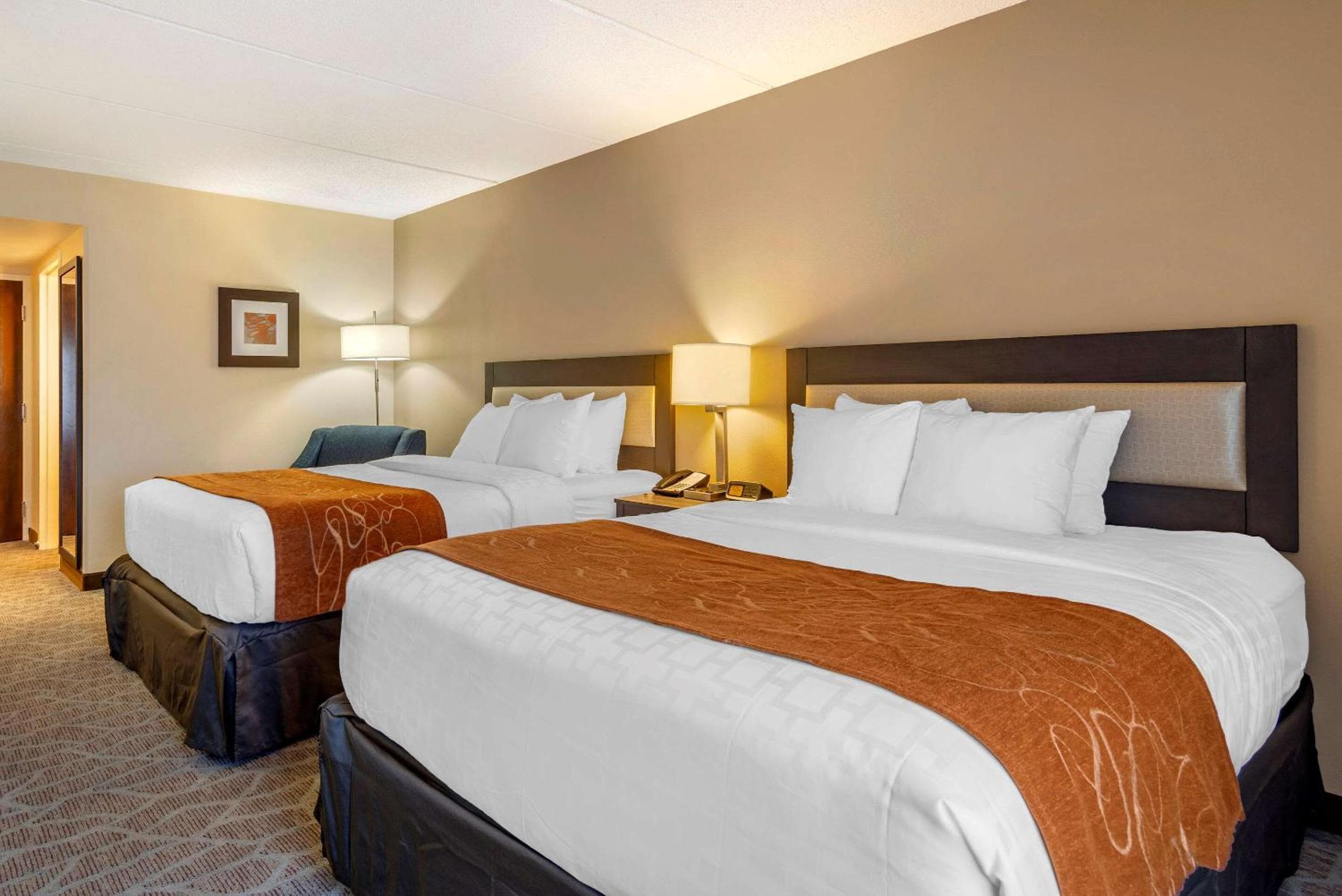 Comfort Suites Alpharetta-Roswell - Atlanta Area