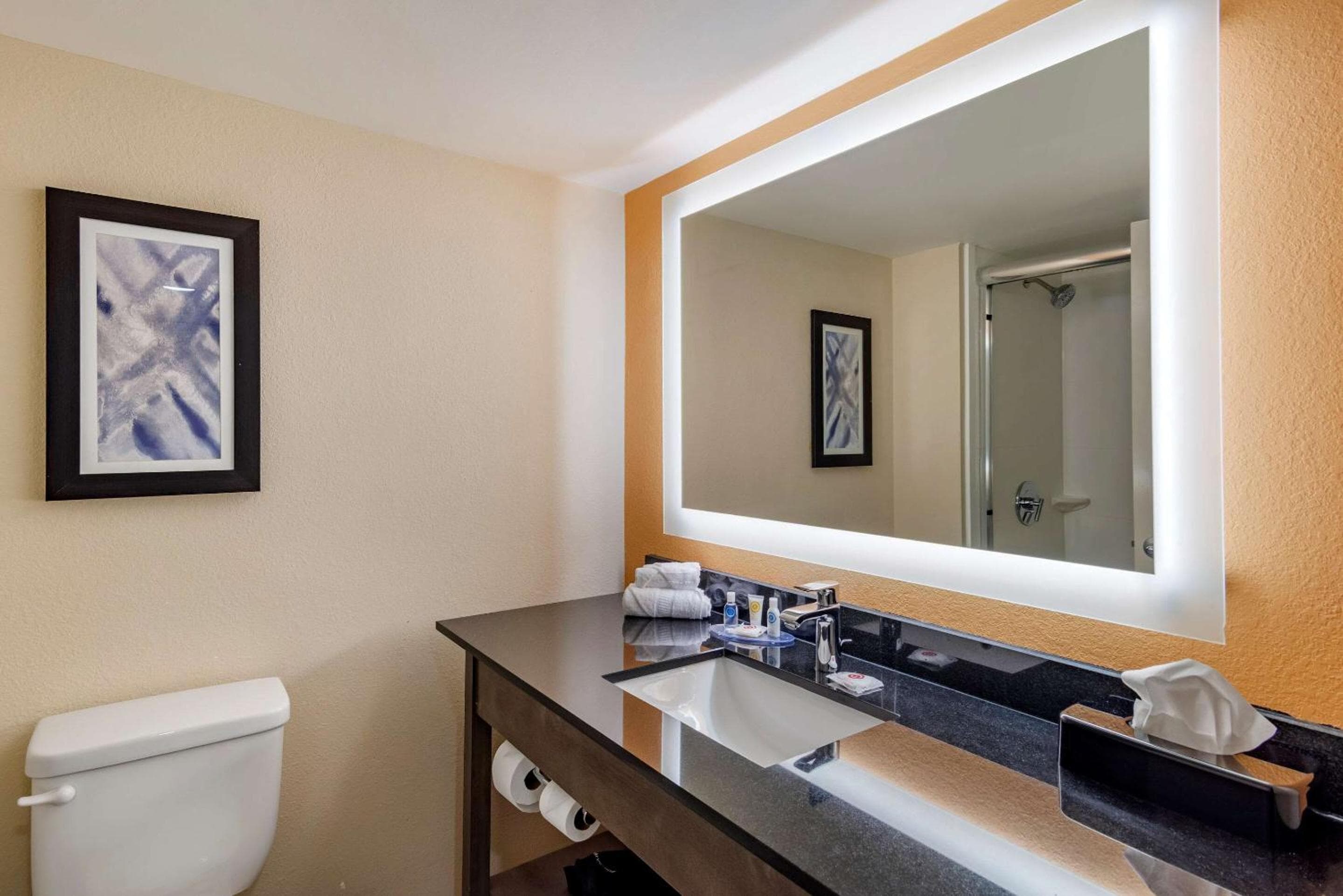 Comfort Suites Alpharetta-Roswell - Atlanta Area